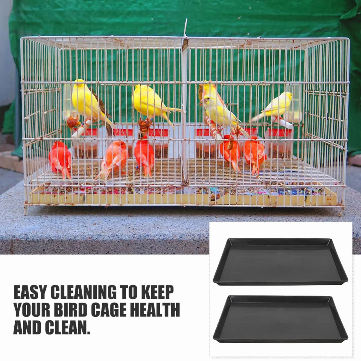 BESPORTBLE Plateau pour Animaux de Compagnie Bac de Cage pour Oiseaux Bac Remplacement Cage d'oiseaux Plateau Fond Chien Chien Abdos Black