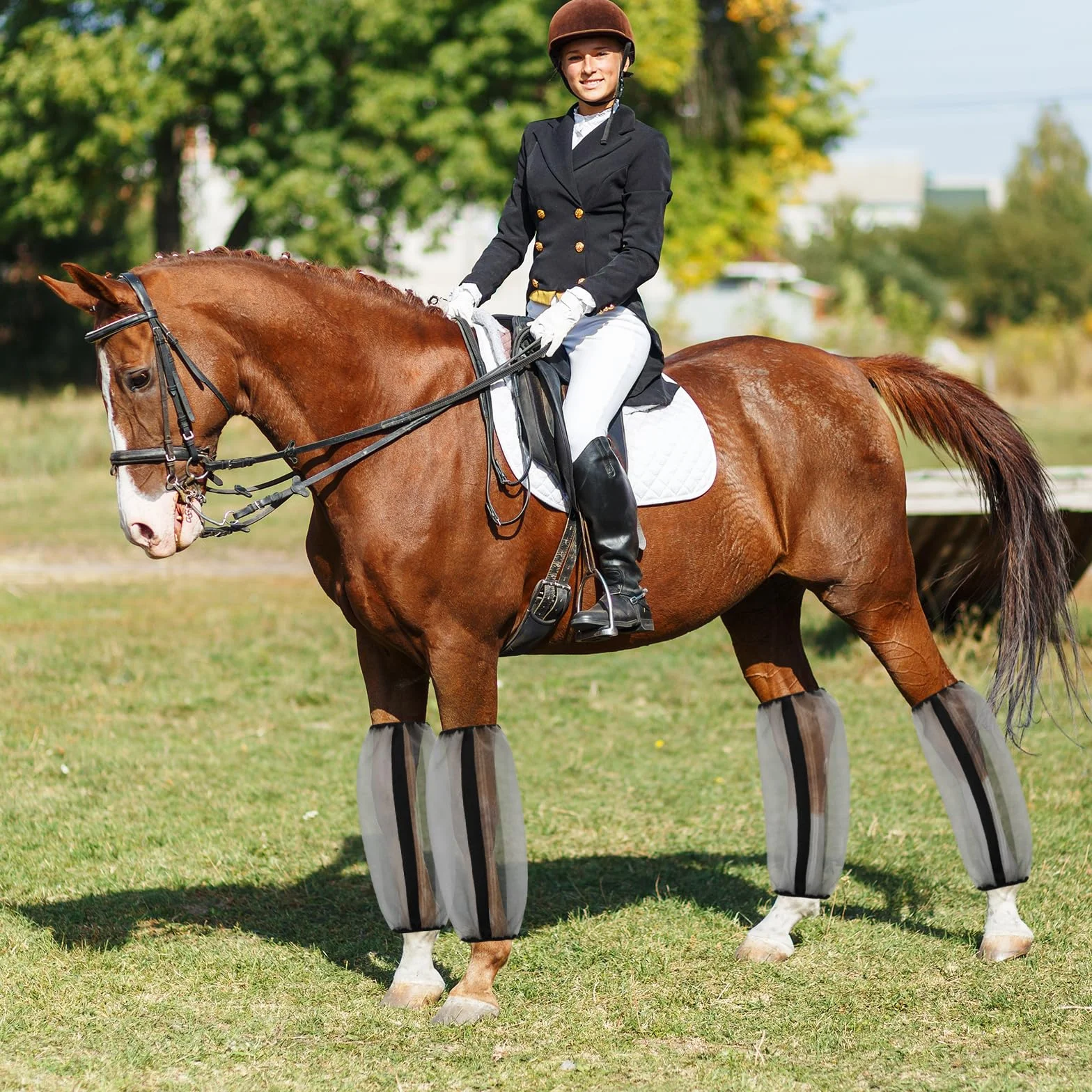 BINYI Guêtres anti-mouches pour chevaux Lot de 4 - Rafraîchissantes Respirantes Maille fine