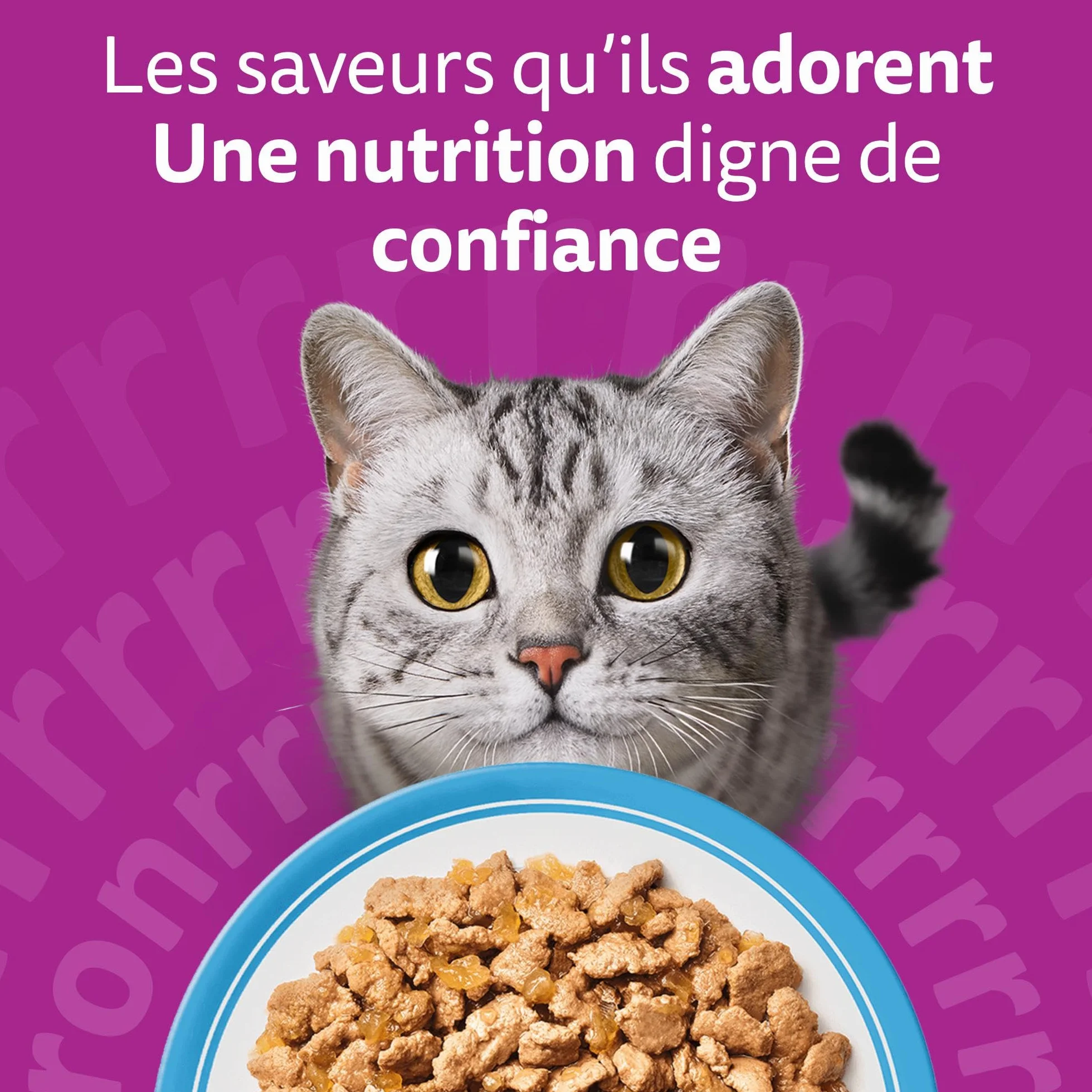 WHISKAS Aliment humide en gelée Chat adulte Les Poissons Favoris 48 Sachets