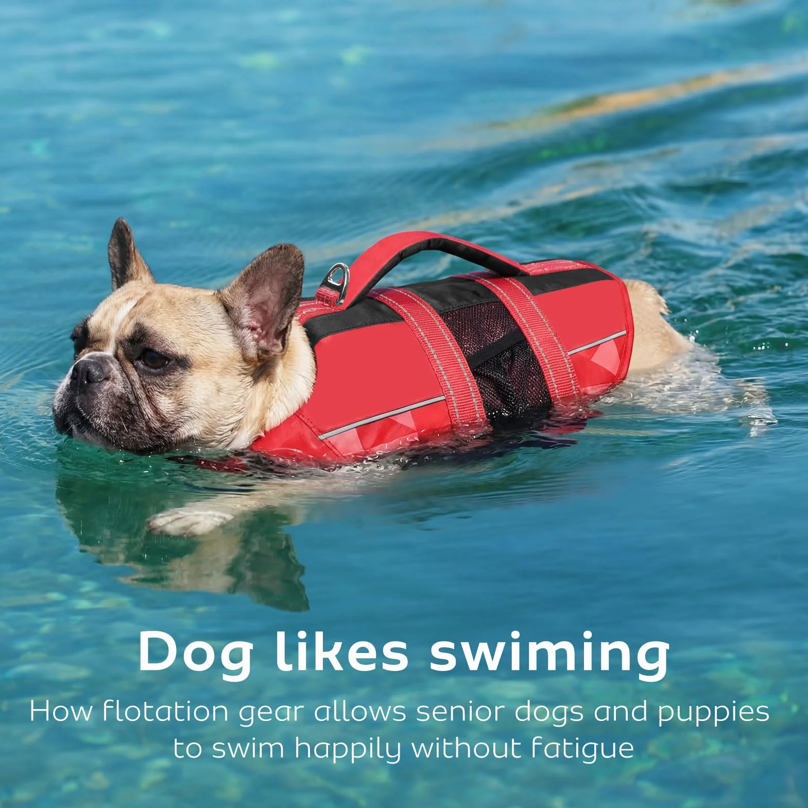CITÉTOILE Gilet de Sauvetage pour Chien, Bouée Réglable avec Poignée, Maillot de Sécurité Aquatique, Rouge M