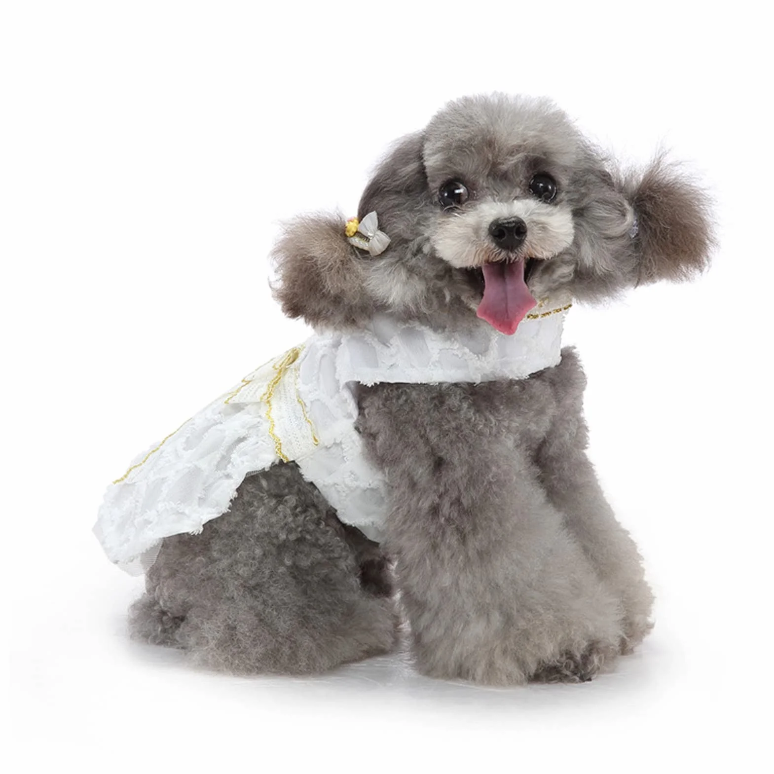 Robe de Chien Nœud Papillon Jupe Princesse Blanche Dentelle Vêtement Été Mariage (M)