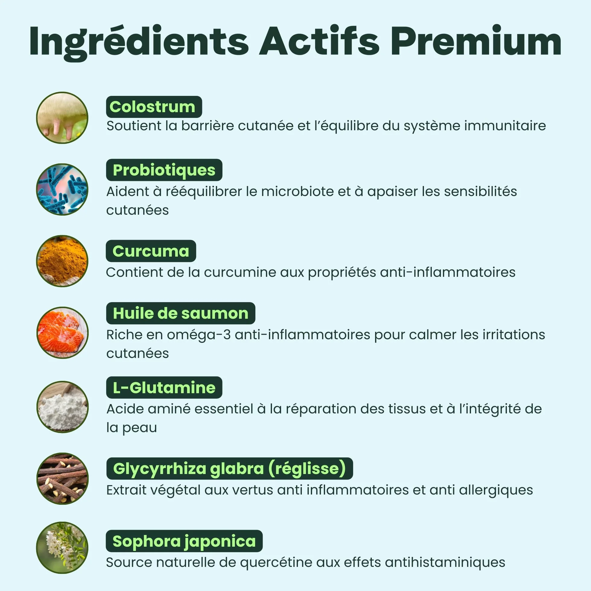 BESTI Compléments Alimentaires Premium pour Chiens Démangeaisons Omega 3 Probiotiques Saumon 300g