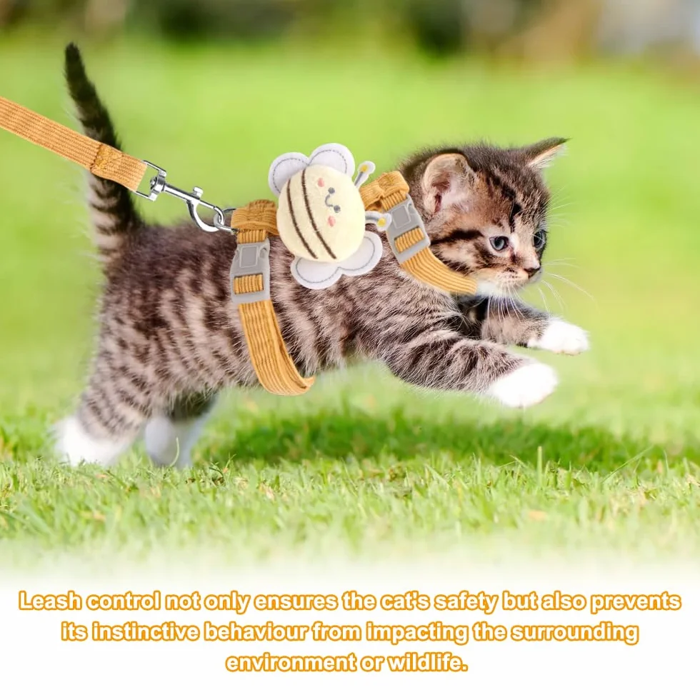 Harnais Chaton Anti Évasion Réglable avec Laisse, pour Petits Animaux de Compagnie
