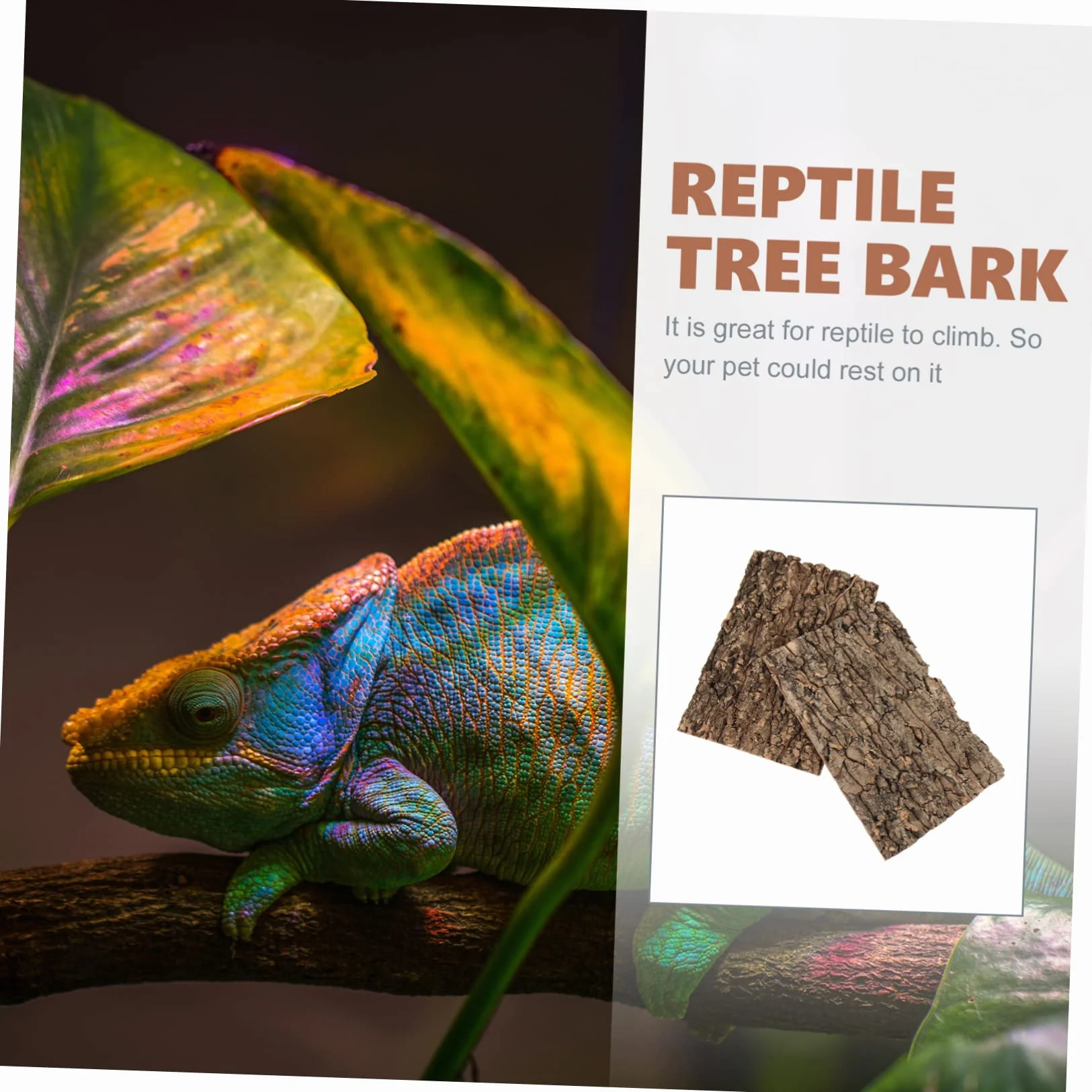 Écorce de Liège Plateforme Reptile Terrarium Décor Escalade