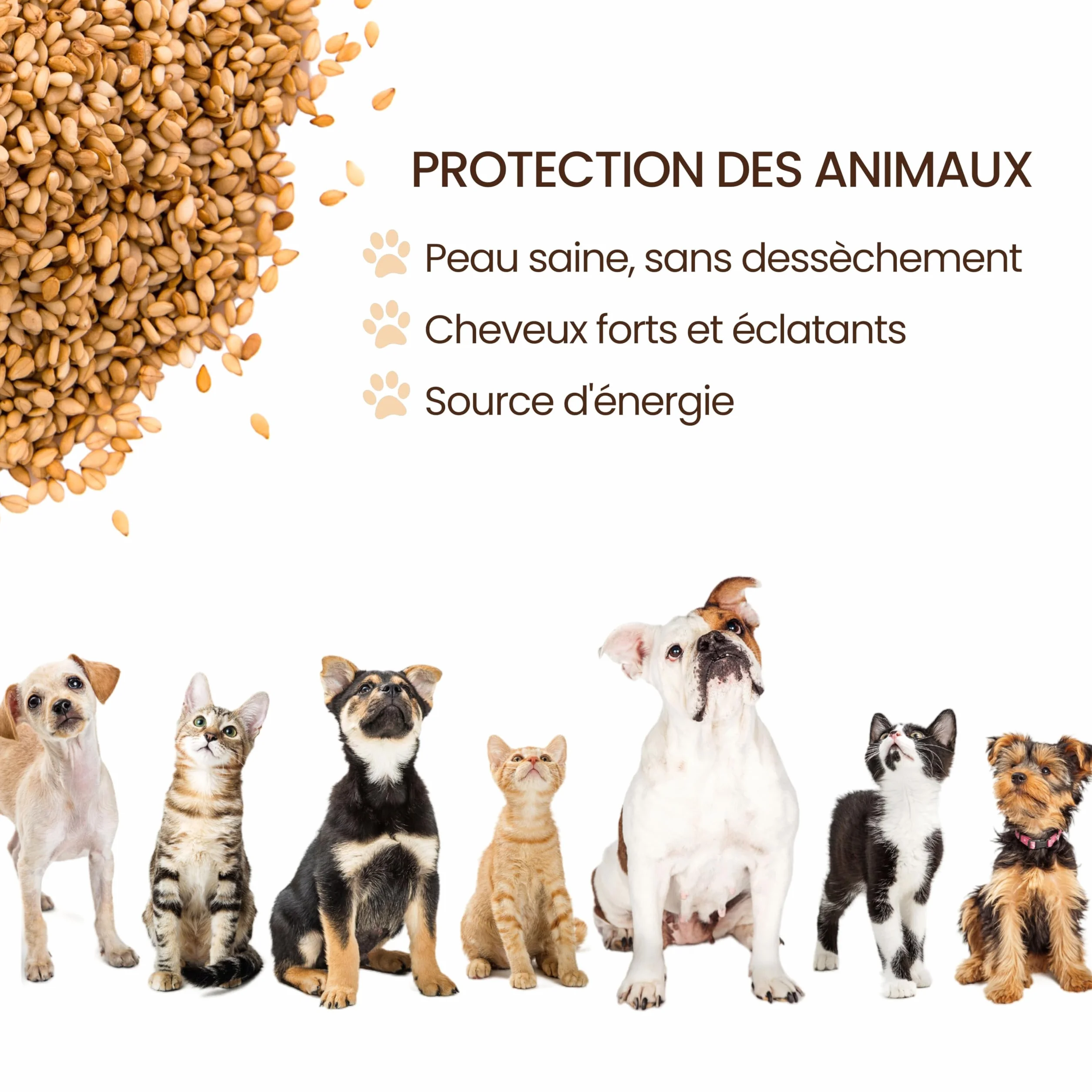 Huile de Lin VET Alimentaire 5000 ML Omega 3-6-9 Vitamines A-D-E-K pour Digestion Cœur Vaisseaux Sanguins
