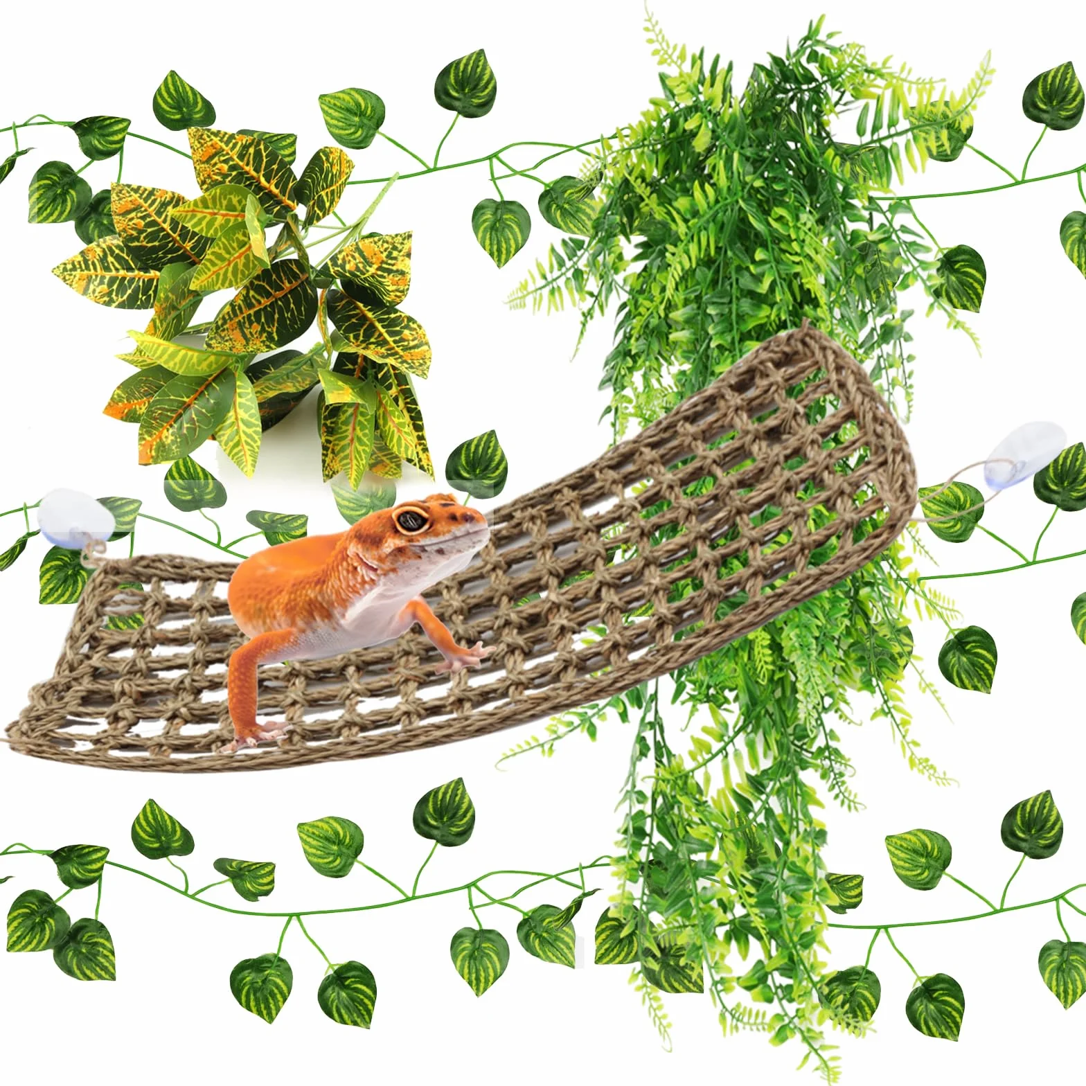 QUOZUO Dragon Barbu Hamac Naturel pour Reptile avec Vignes d'Escalade et Branche Décorative Terrarium