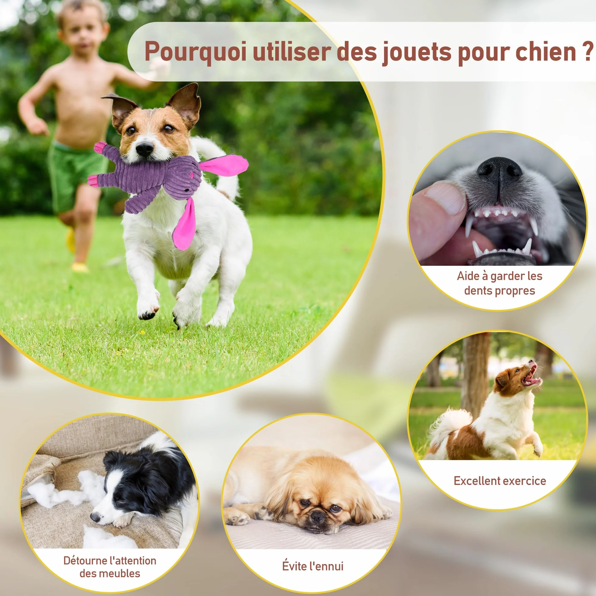 PrimePets Lot de 5 Jouets en Peluche pour Chiens, Jouets à Mâcher Couineur Interactifs Durable