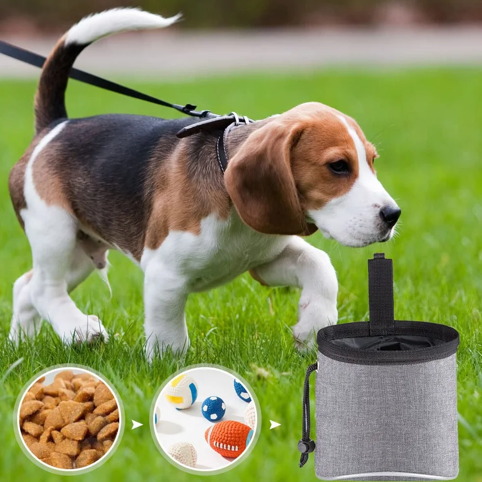 Sac d'entraînement pour Chiens avec Distributeur de Sacs à Crotte et Ceinture Ajustable Gris