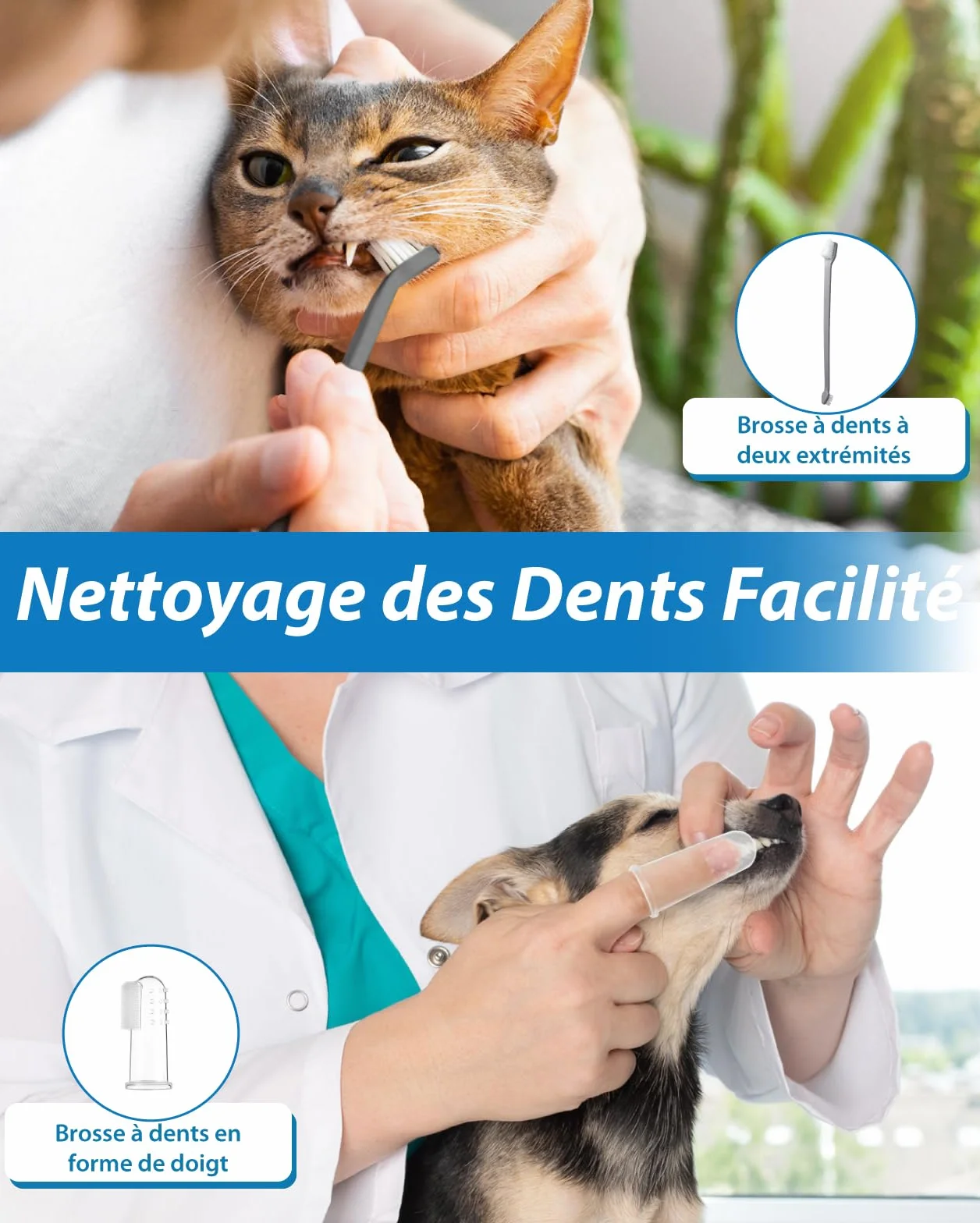Kit de Nettoyage Tartre Dentaire à Ultrasons pour Chien et Chat, Brosses Detartreur à Ultrasonique Dents Détachant Nettoyeur, 5 Modes de Nettoyage de Nettoyage pour Animaux Pet de Compagnie (Noir)