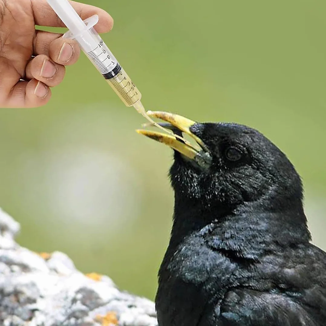 Seringue 10ml pour Nourrissage Bébé Oiseaux Perroquets, Tubes Souples Alimentation avec 10 Cathéters
