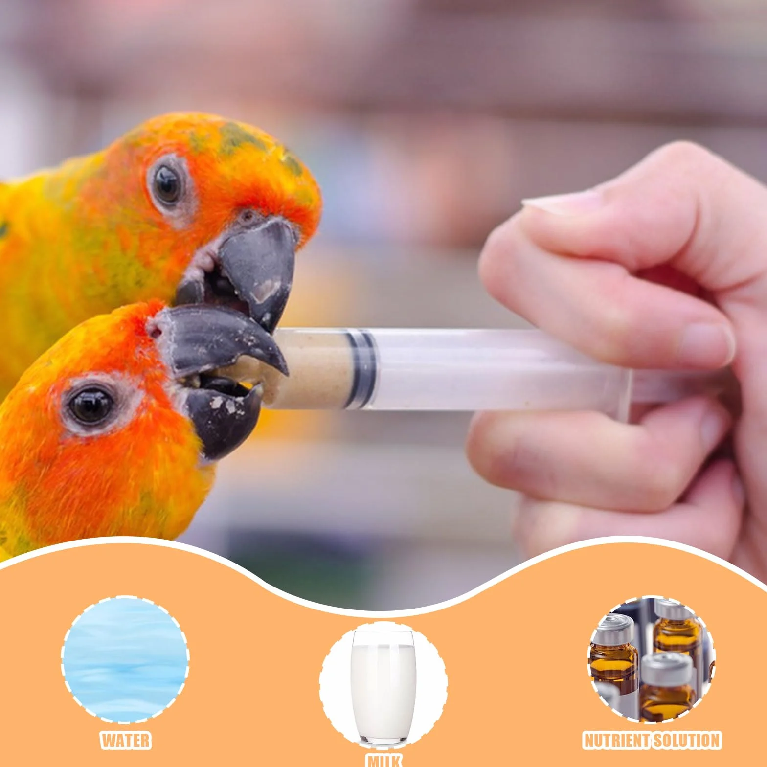 Suxgumoe Seringue d'alimentation pour bébé oiseaux perroquets avec tube gavage