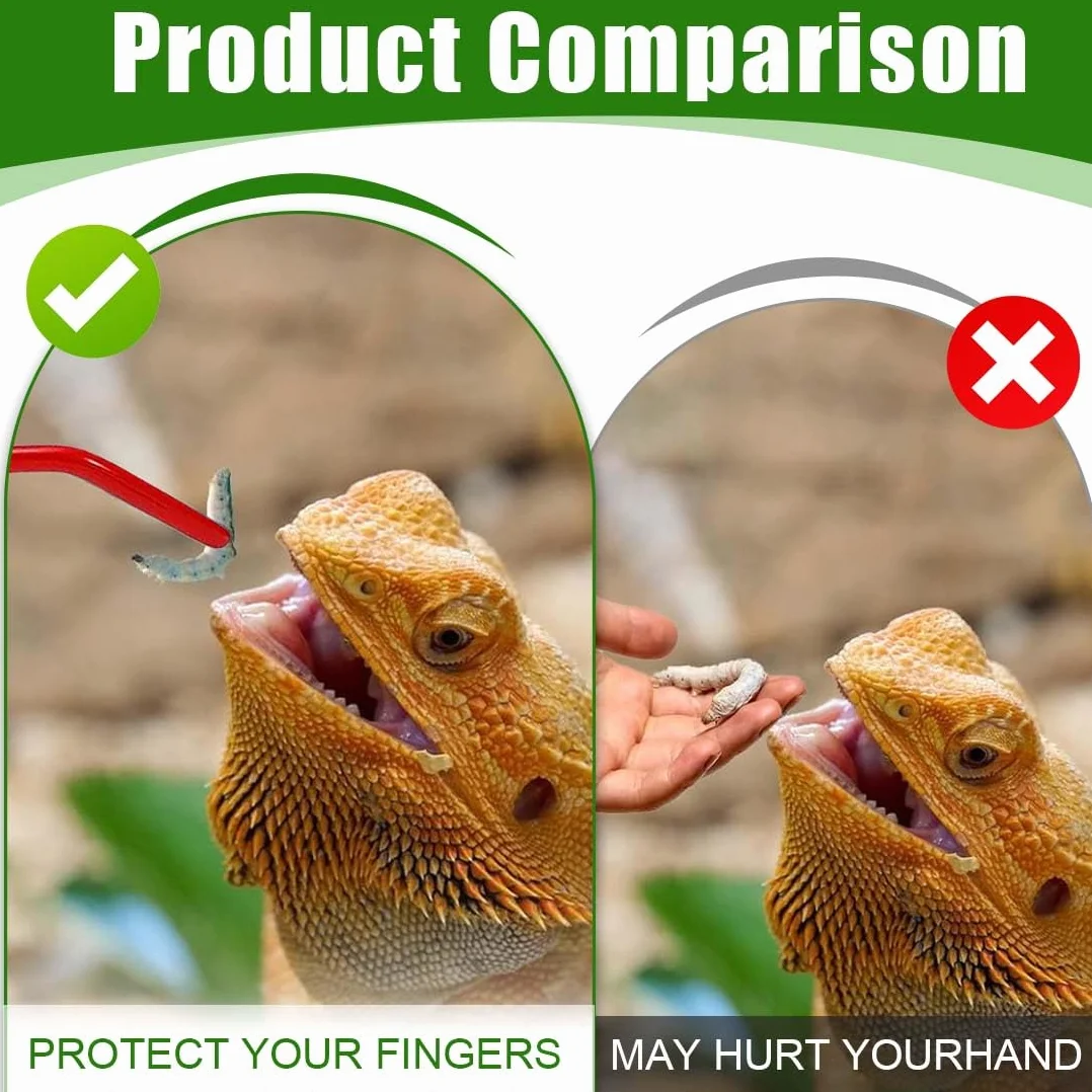 Pinces À Épiler En Acier Inoxydable 27 CM Incurvées Droites Pour Aquarium Terrarium