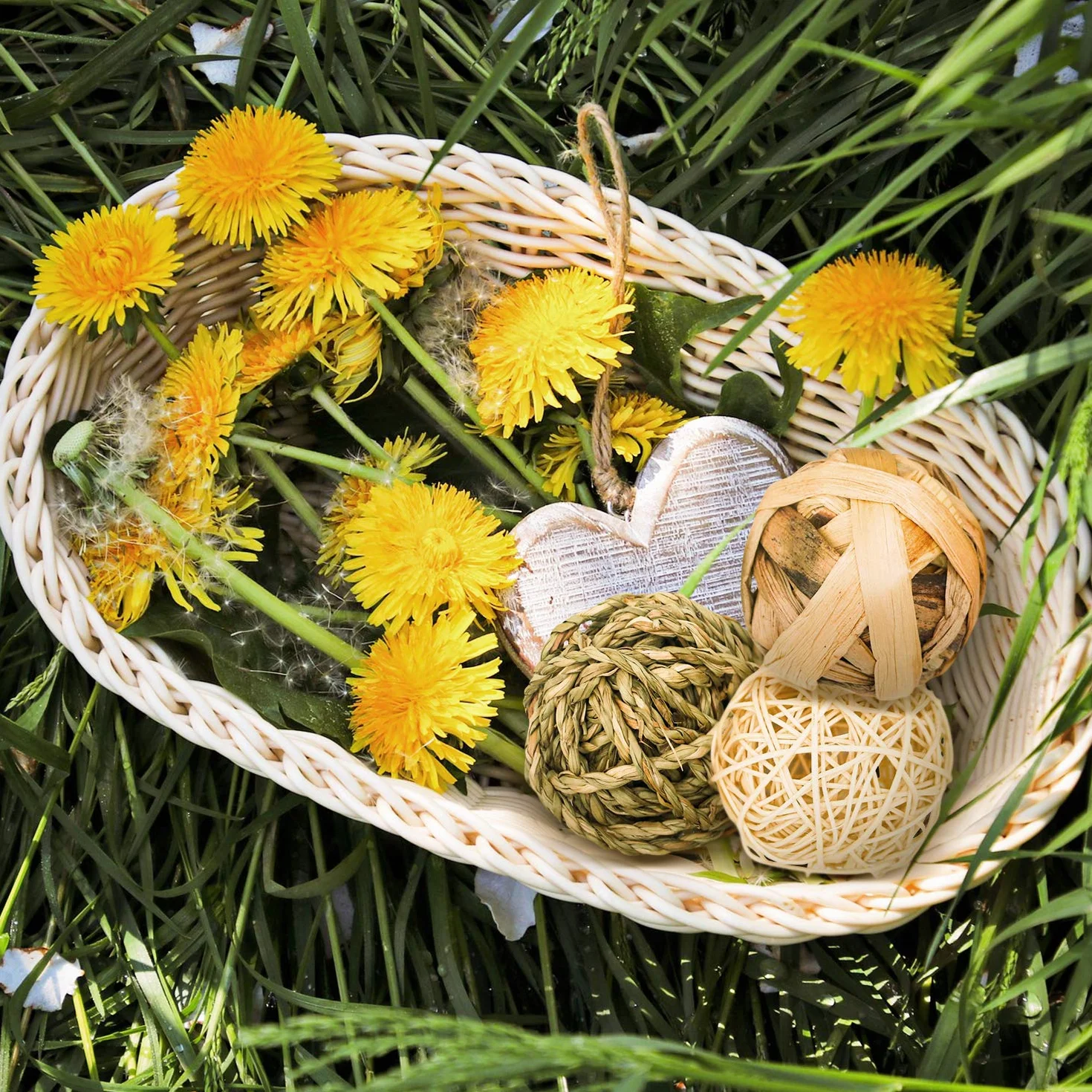 Jouets à Mâcher pour Petits Animaux 9 Pièces Balle en Rotin Boules d'herbe Santé Dentaire Lapins Hamsters