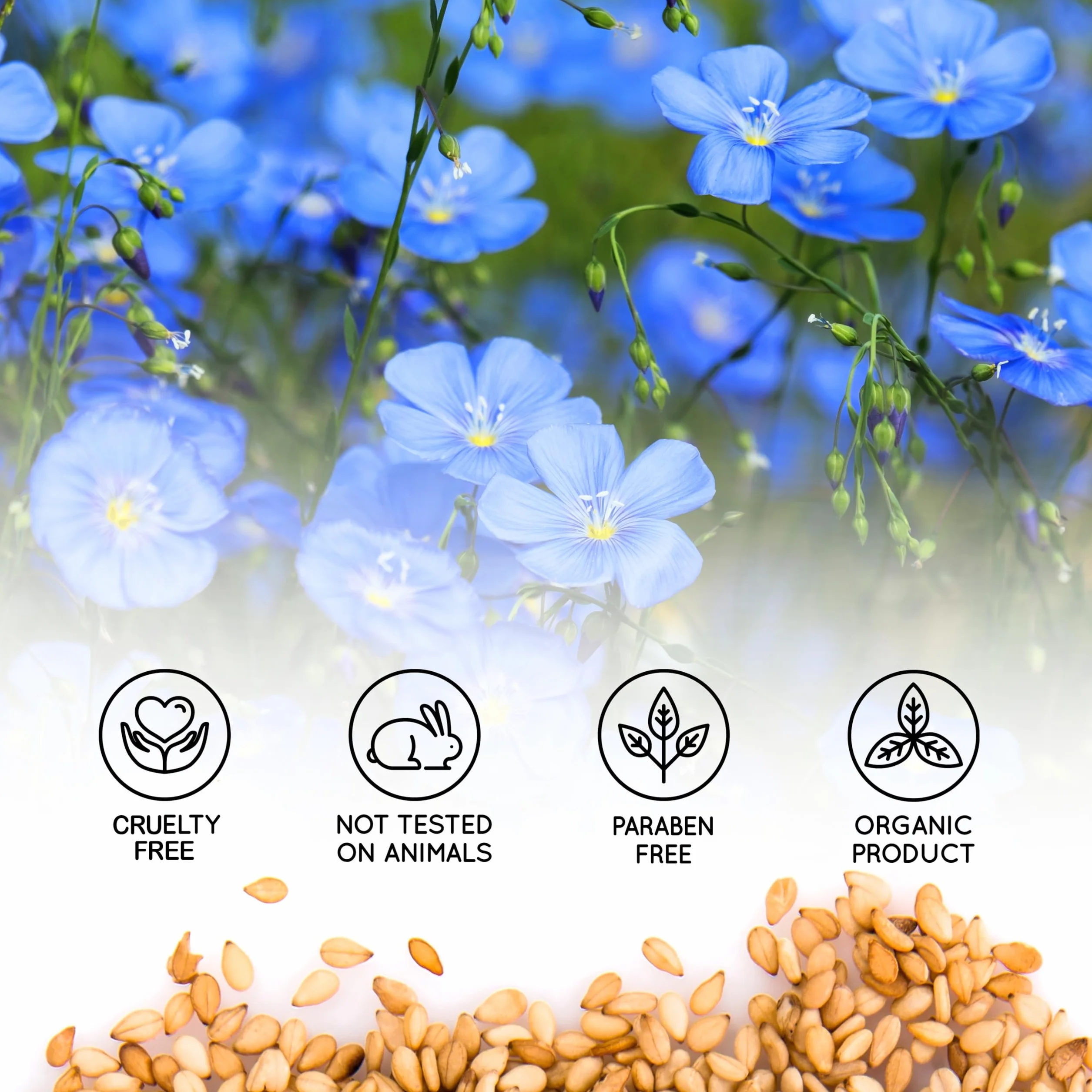 Huile de Lin VET Alimentaire 5000 ML Omega 3-6-9 Vitamines A-D-E-K pour Digestion Cœur Vaisseaux Sanguins