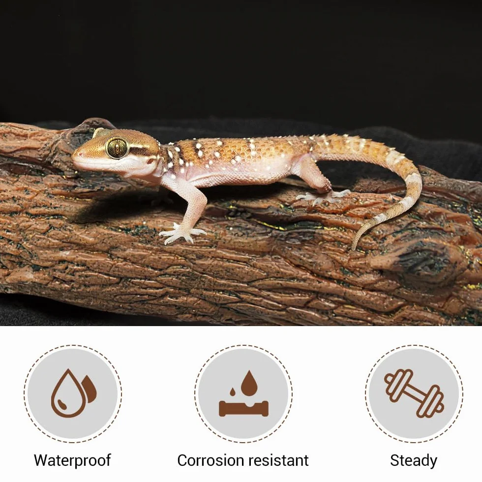 Pierres Branches Décoration Terrarium Reptiles 3 Pièces Simulé Habitat