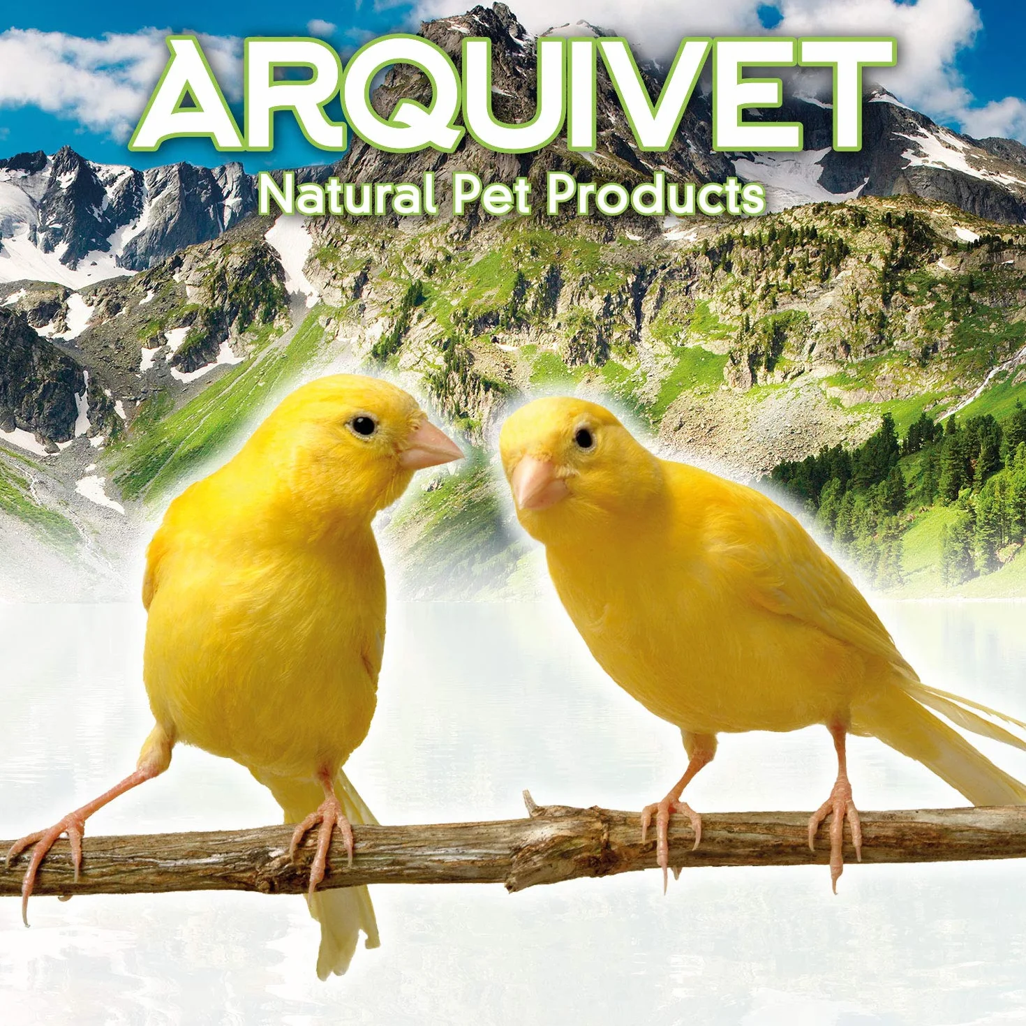 Gamelle en acier inoxydable pour perroquets 150 ml ARQUIVET