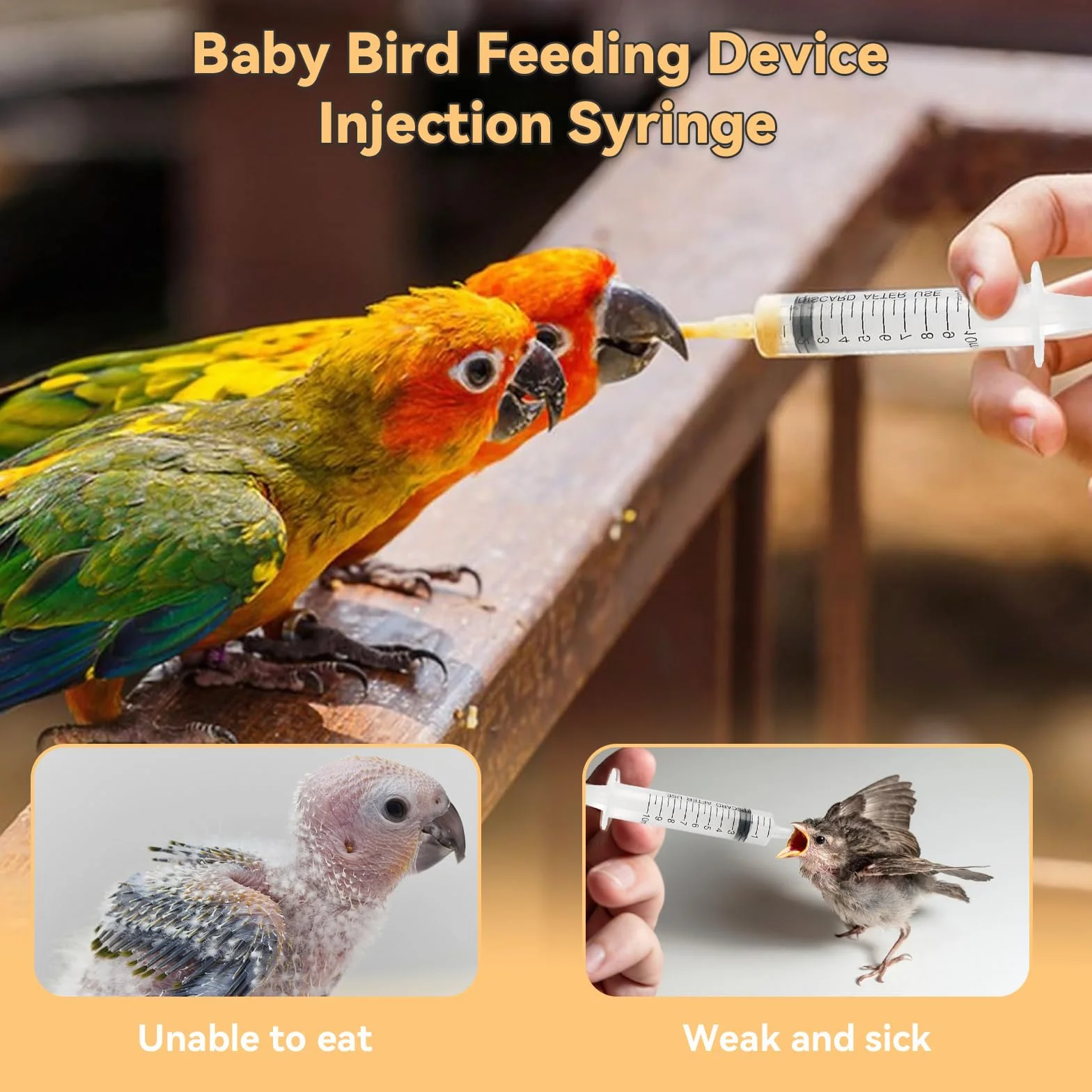 Sondes d'alimentation pour Oisillons avec 2 Seringues 10 ML pour Perroquets et Petits Animaux