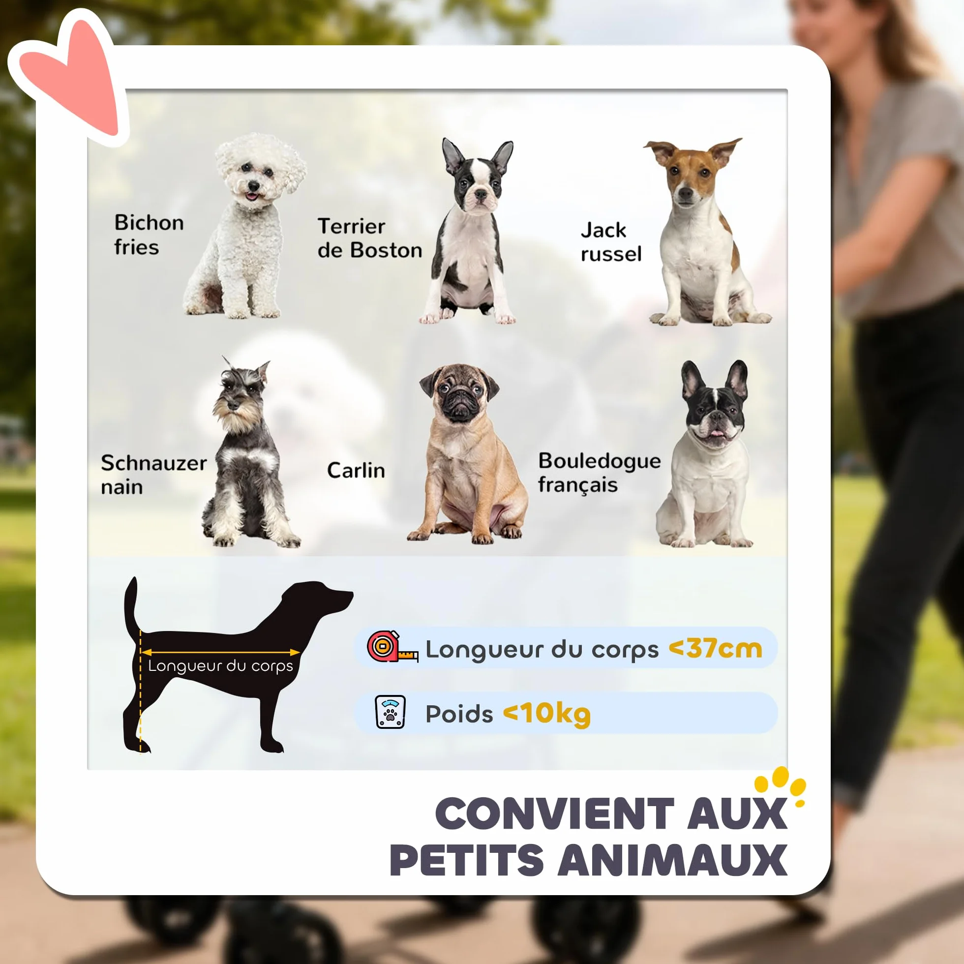 PawHut Poussette pour Chien 3 en 1 Détachable - Pousse-Chien Pliable avec Nacelle Amovible et Sans Fermeture Éclair - Suspension Tout-Terrain pour Petits Chiens et Chat de 10kg, Gris