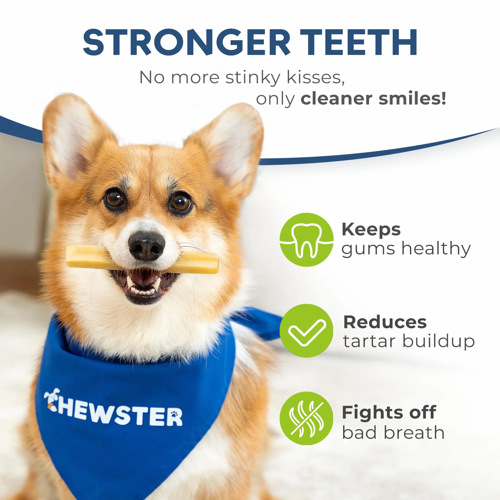 Os à mâcher au Fromage pour Chien - Snacks longue durée, Lait Naturel (136 g, Taille S, Lot de 4)