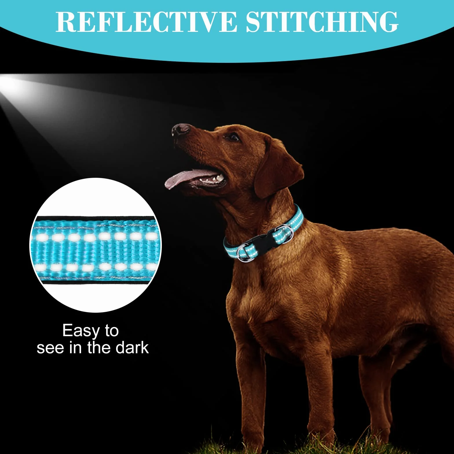 Collier pour Chien Réfléchissant Réglable Nylon avec Étui AirTag pour Petits Chiens, Bleu-S