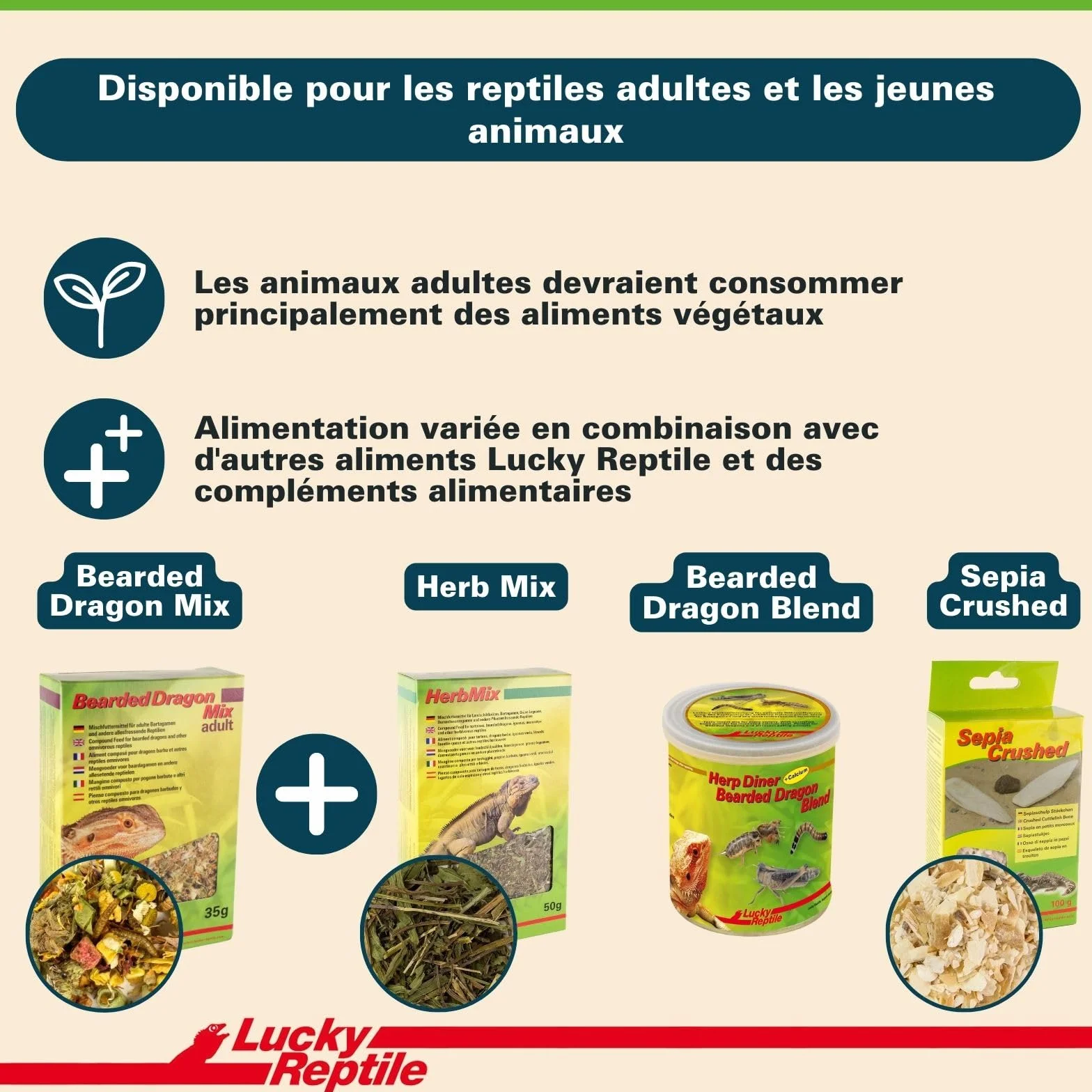 Lucky Reptile HD-01 Mélange Dragon Barbu Adulte 35 g