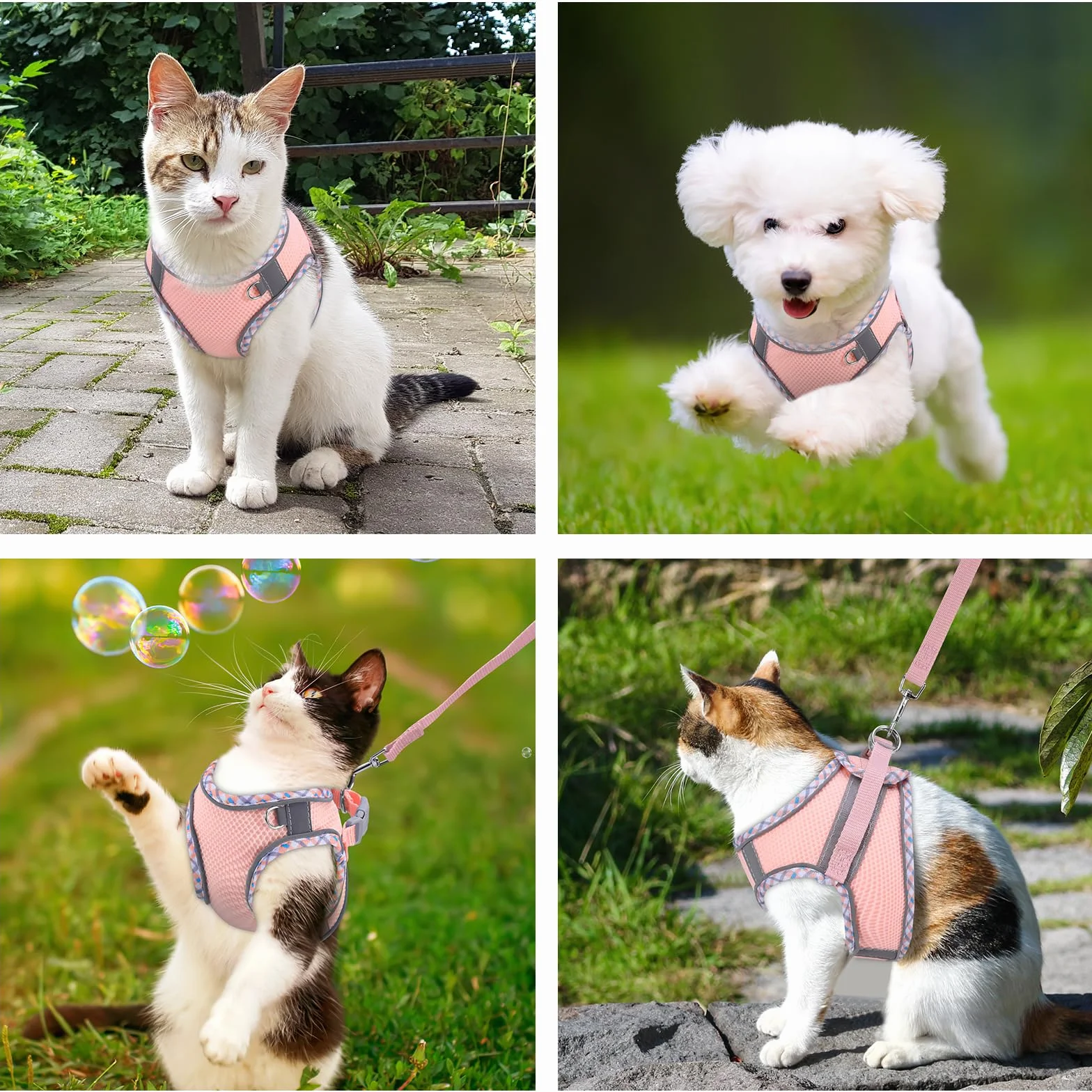 Harnais pour Chat Réglable Anti-Évasion Réfléchissant Respirant avec Laisse, XXS, Rose