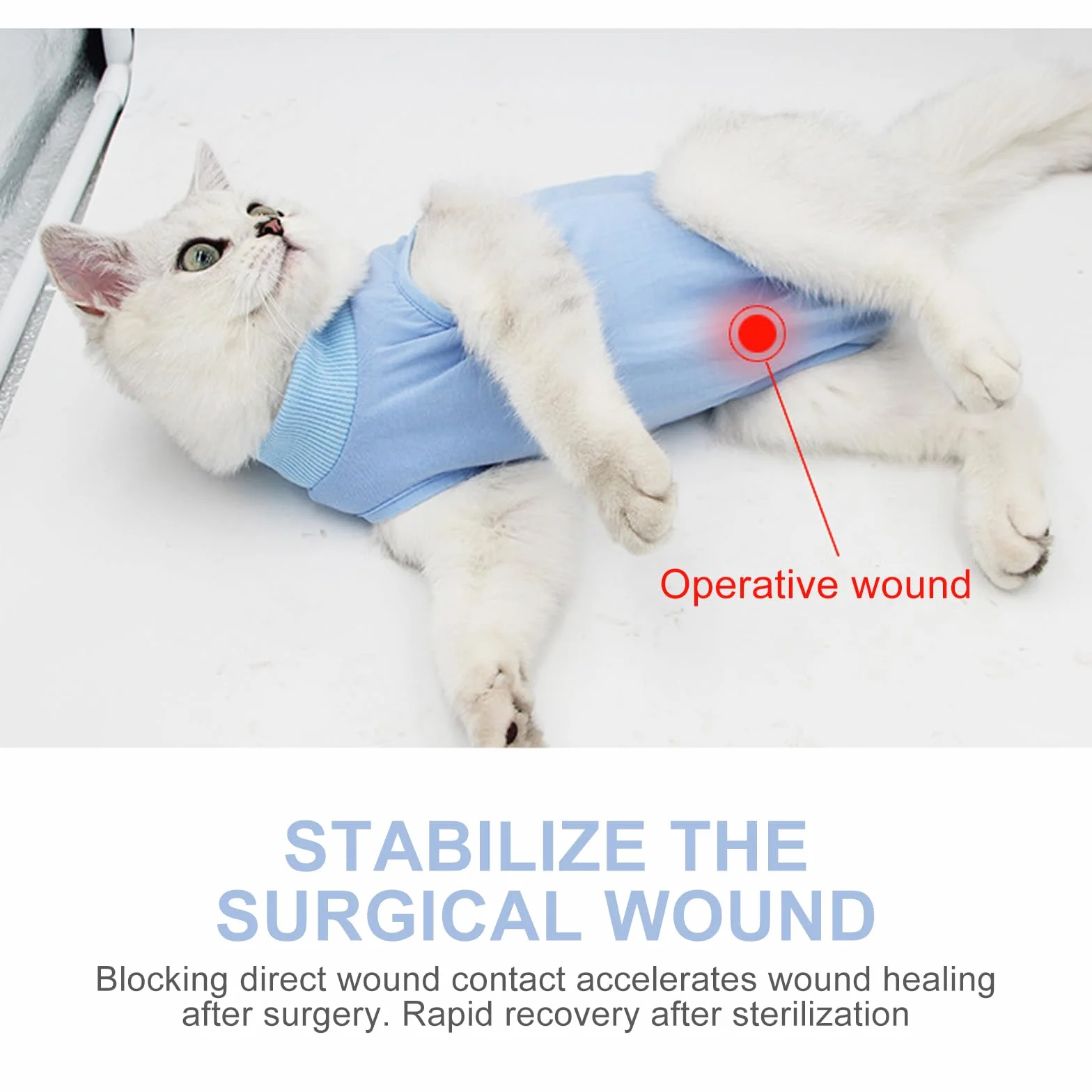 Combinaison de Récupération Anti Léchage pour Chat - Protection Plaies Abdominales (Medium, Rose)