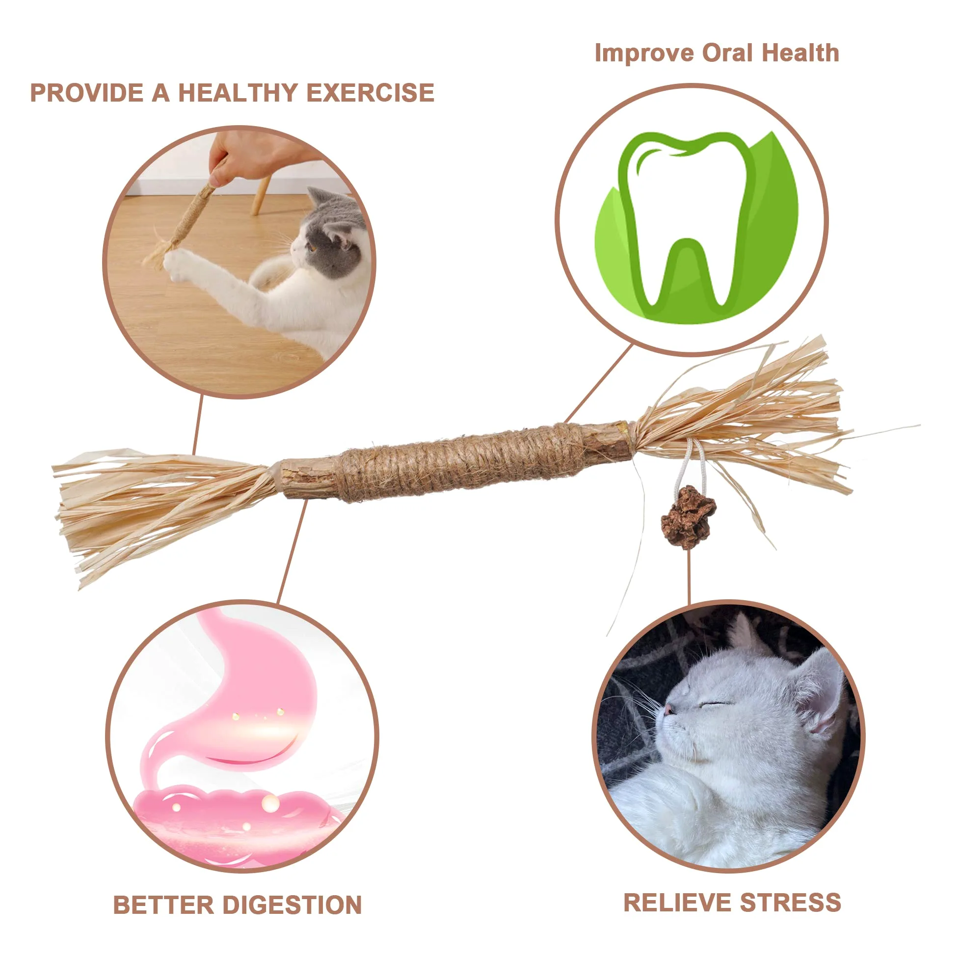 N/H Jouet en polygonum naturel pour chat à mâcher et à mâcher pour chat