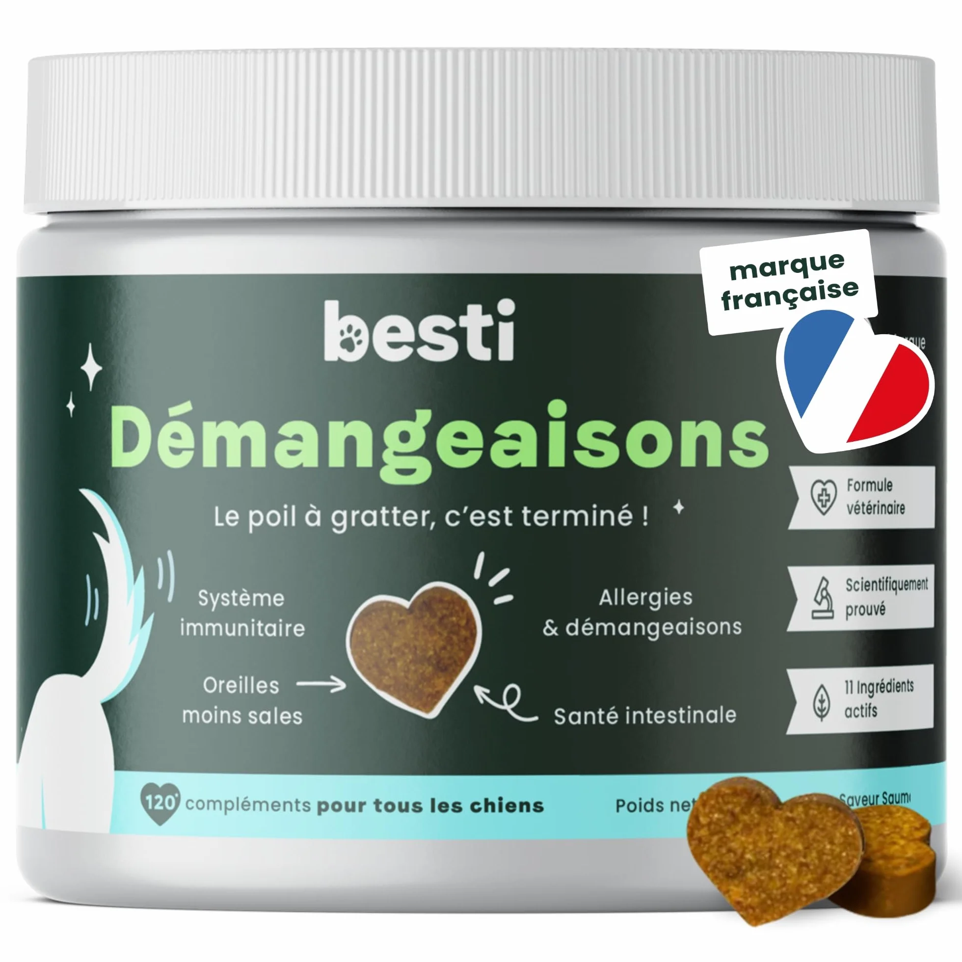 BESTI Compléments Alimentaires Premium pour Chiens Démangeaisons Omega 3 Probiotiques Saumon 300g