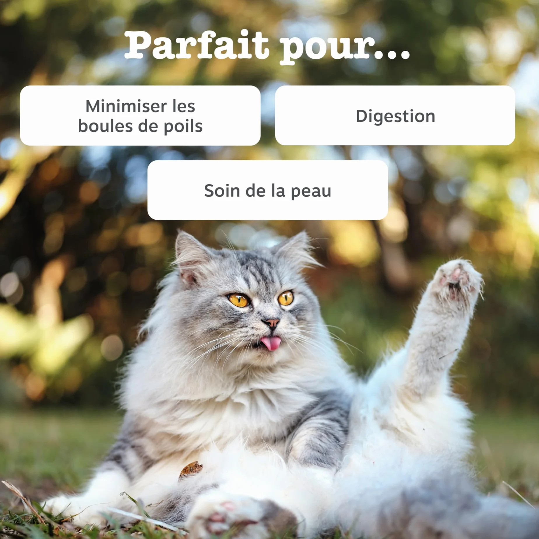 Zesty Paws Pâte Anti-Boule de Poils Chats Omega-3 Psyllium Inuline Extrait de Malt 75g