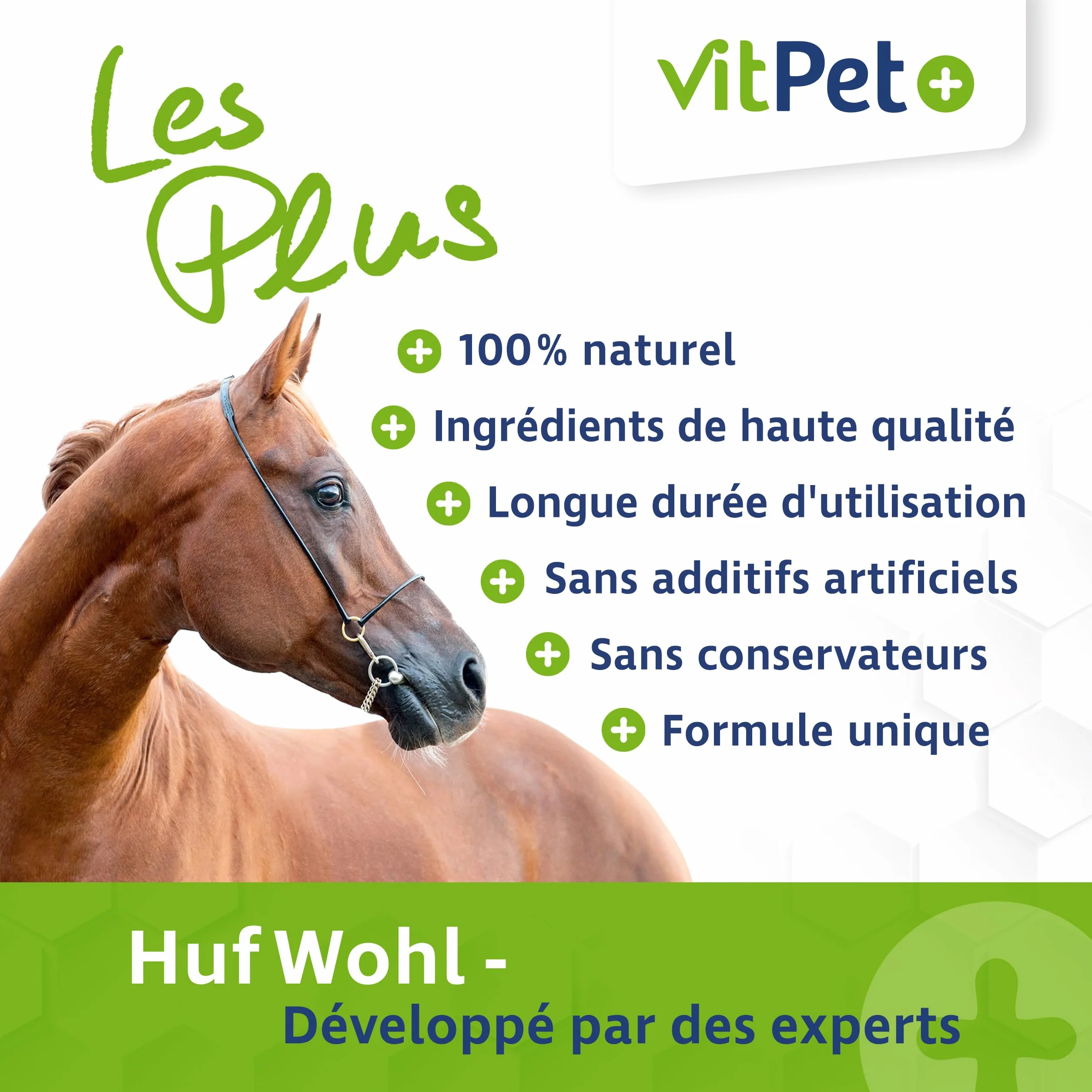 Huf Wohl Aliment minéral chevaux biotine zinc terre de diatomée levure de bière 4 kg croissance sabots