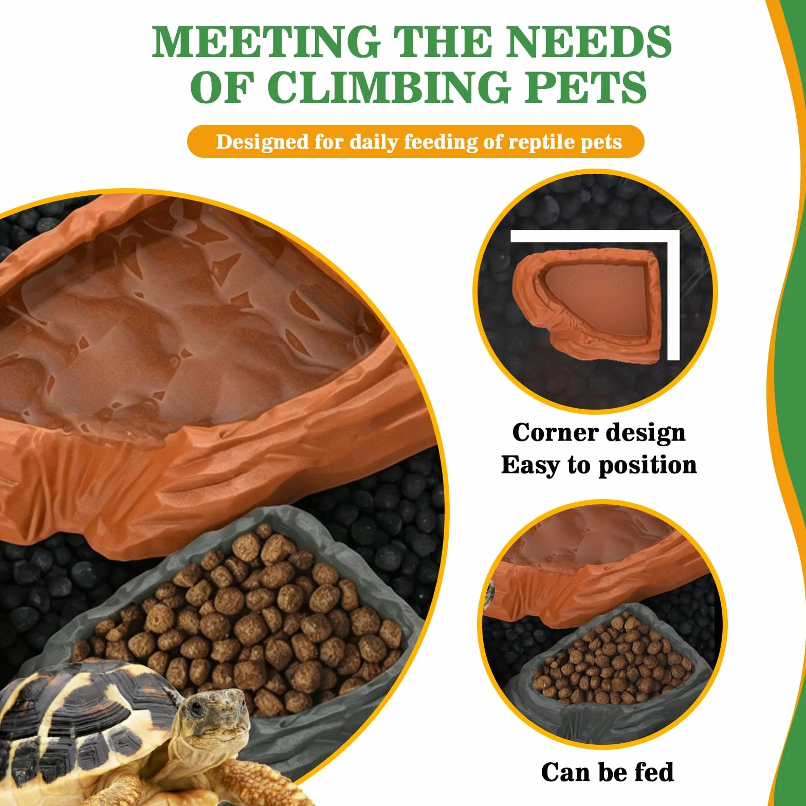 Abreuvoir Tortue Terrestre Accessoire Reptiles Bol Alimentation Pour Petits Reptiles Serpents Tortue Lézards
