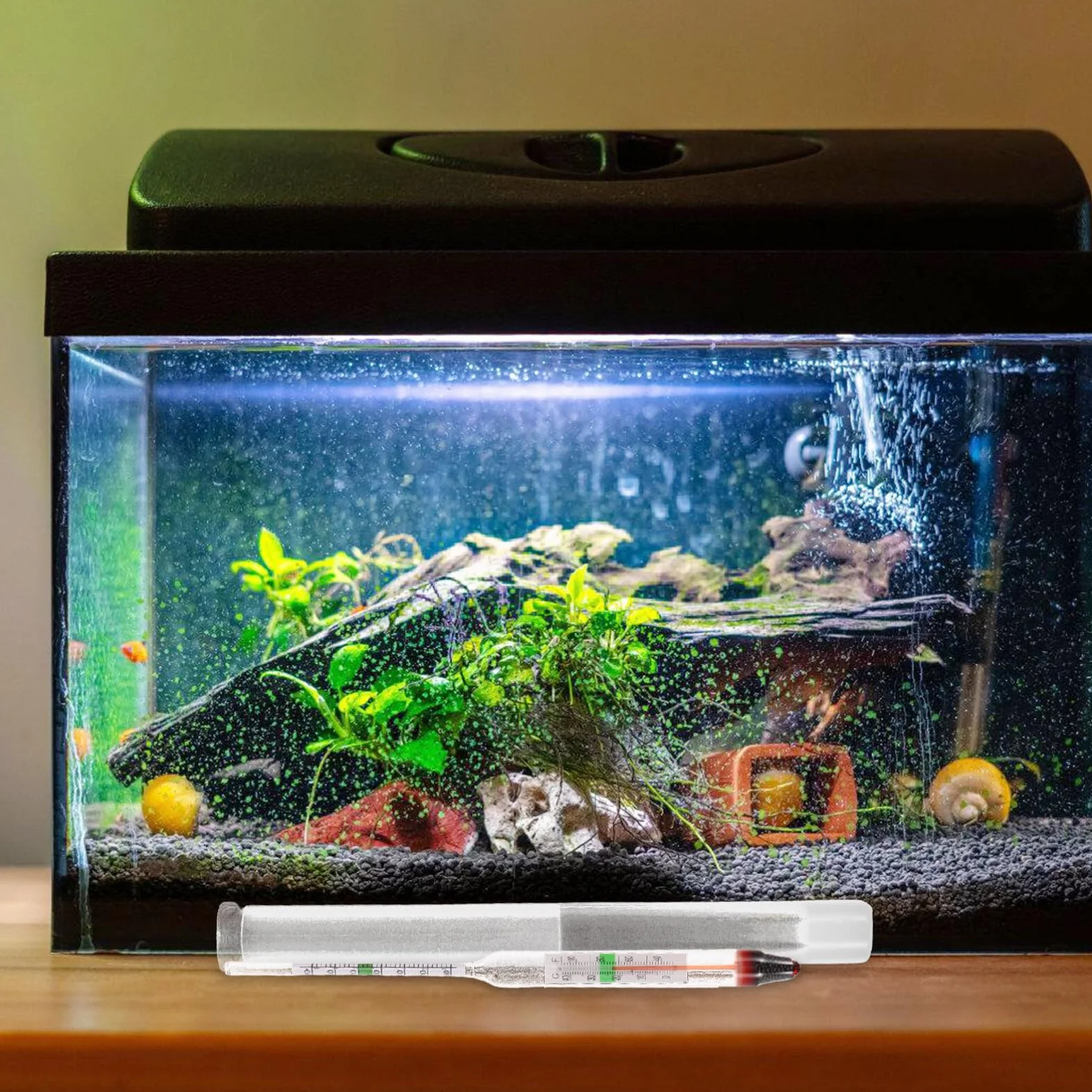 Ifundom Testeur De Salinité De Haute Précision Pour Aquarium Hydromètre Verre