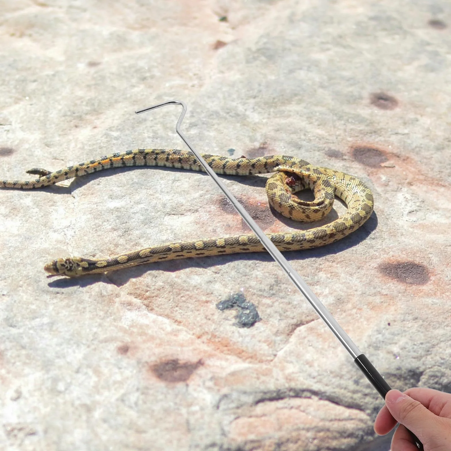 Homoyoyo Crochet Serpent en Acier Inoxydable Rétractable Noir Outil Portable pour Attraper Serpents