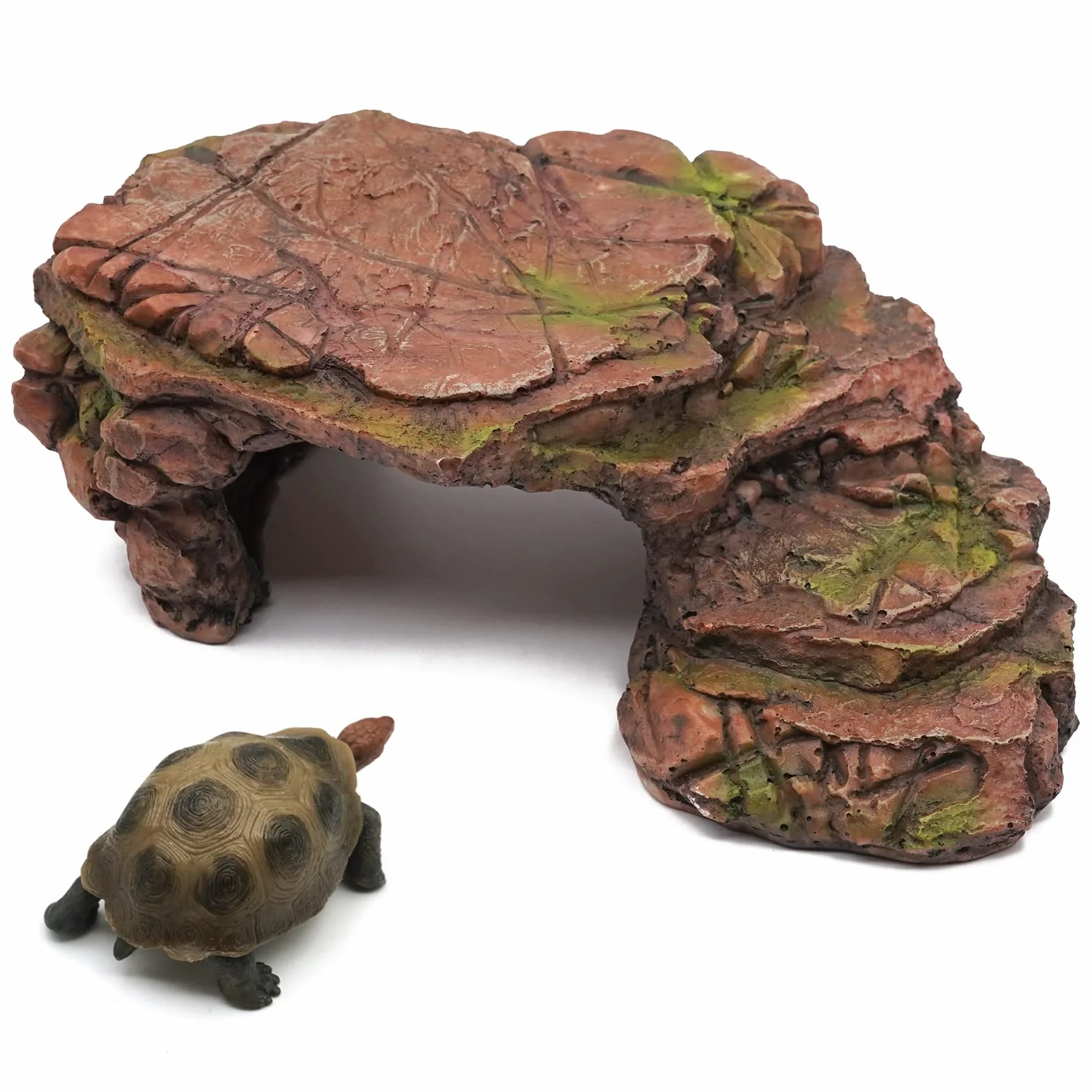 Abri Pour Tortue Caverne Reptiles Gecko Plateforme Rampes Accessoire Tortue Terrestre