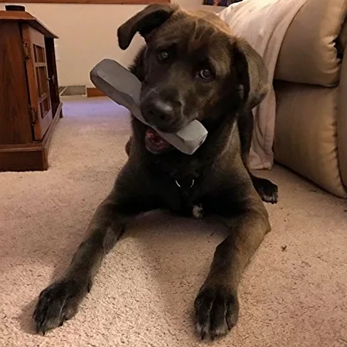 Indestructibone Extra Large Plus Chew Toy for Dogs 51-100 pounds