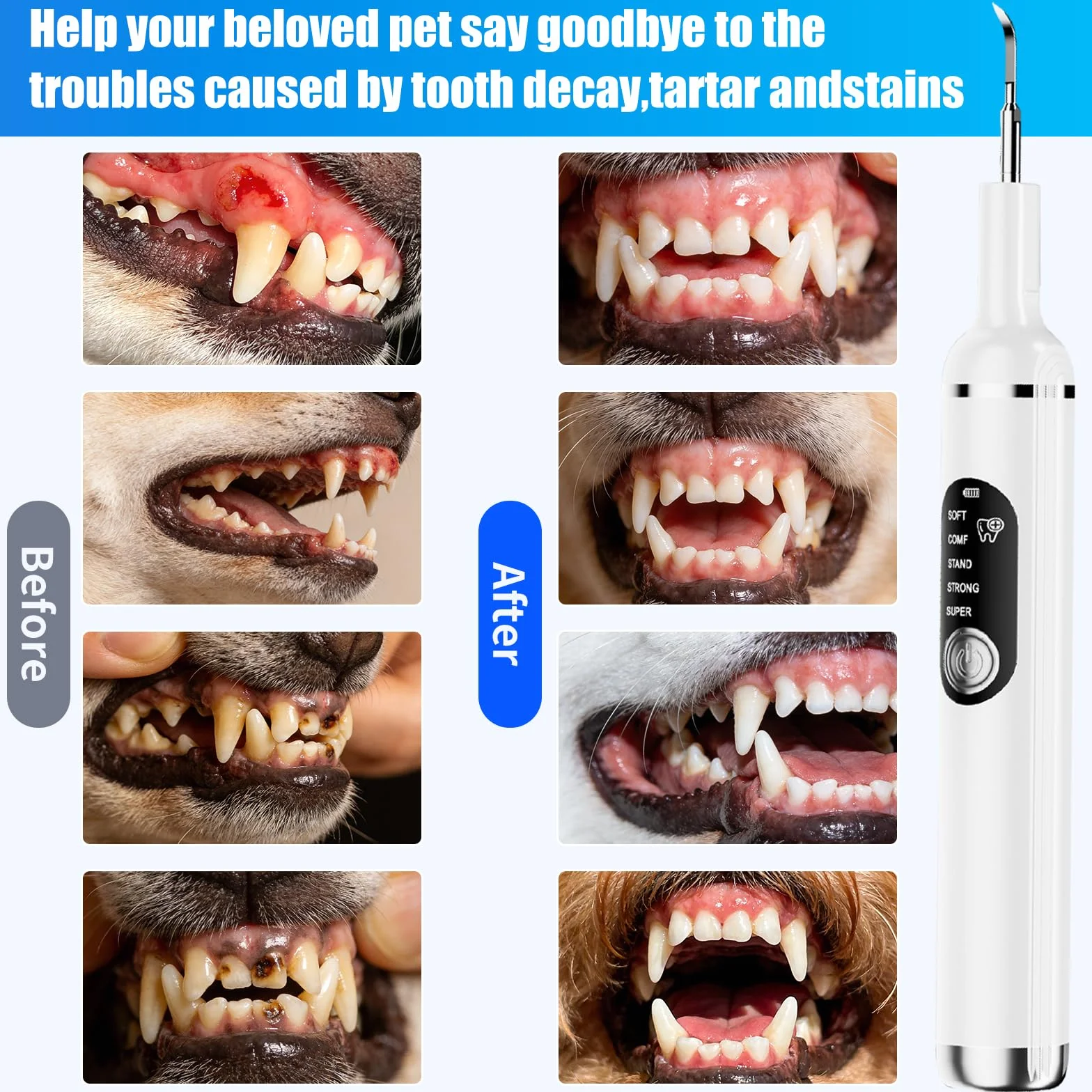Kit de Nettoyage Tartre Dentaire à Ultrasons pour Chien et Chat, Detartreur Dentaire Ultrason, 5 Modes et 4 Têtes