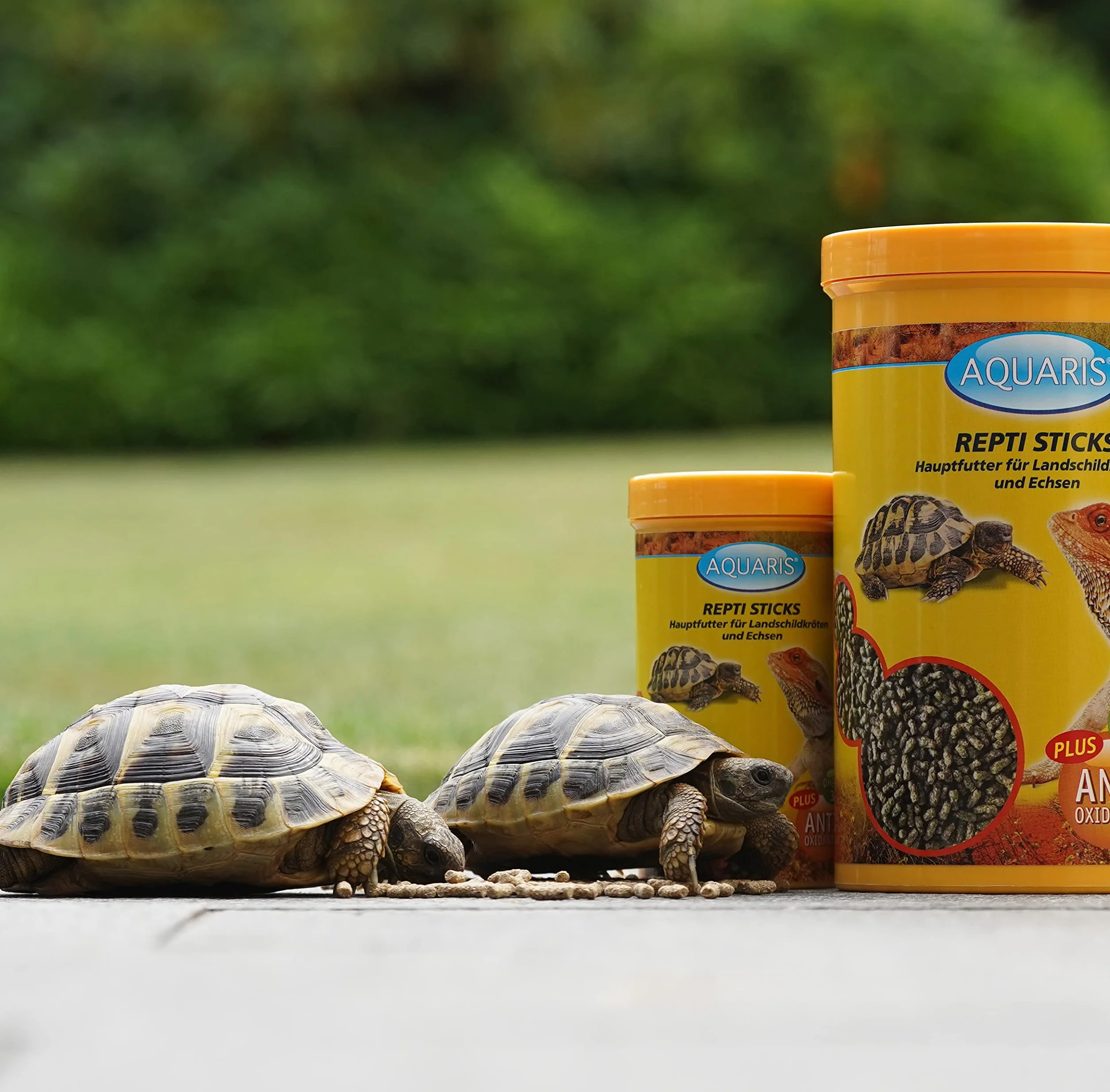 Aquaris Repti Sticks Carni 300g Aliment Complet pour Tortues d’Eau et des Marais