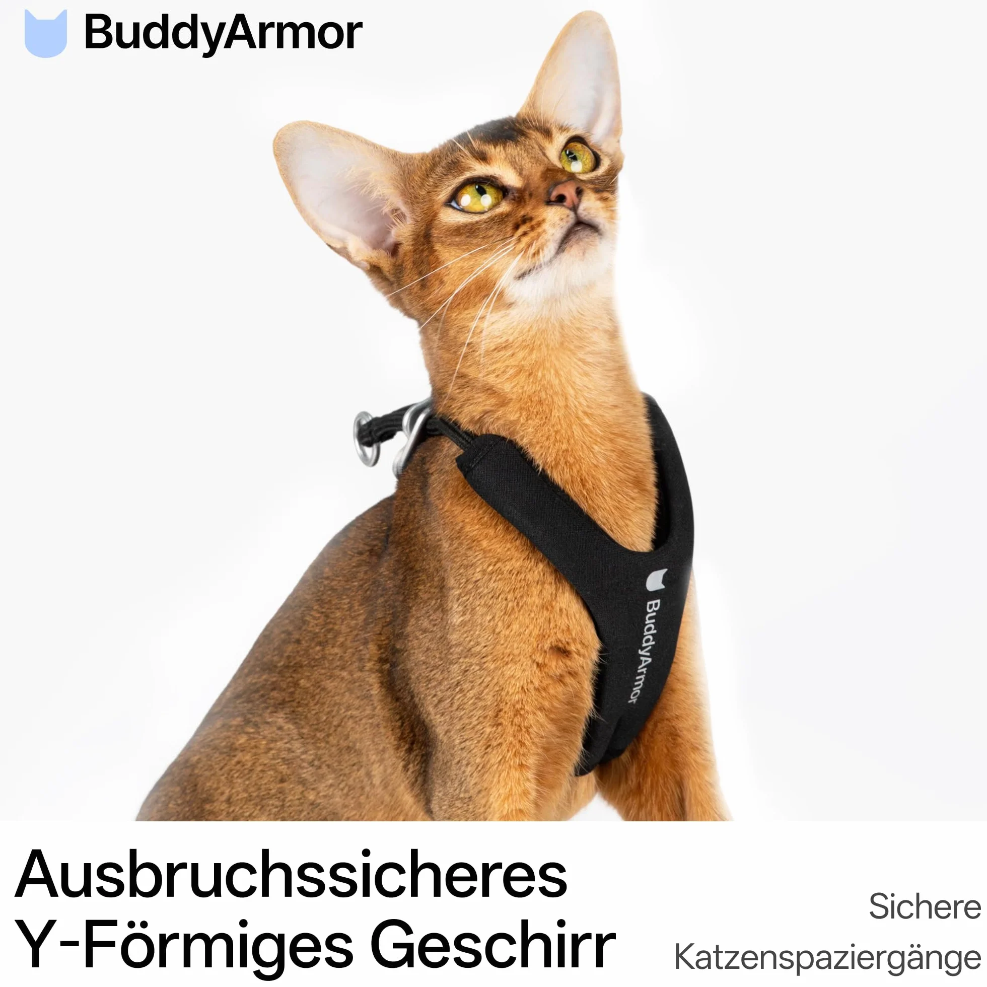 Harnais en forme de Y pour chat anti-éclatement réglable anti-choke rembourré bordeaux