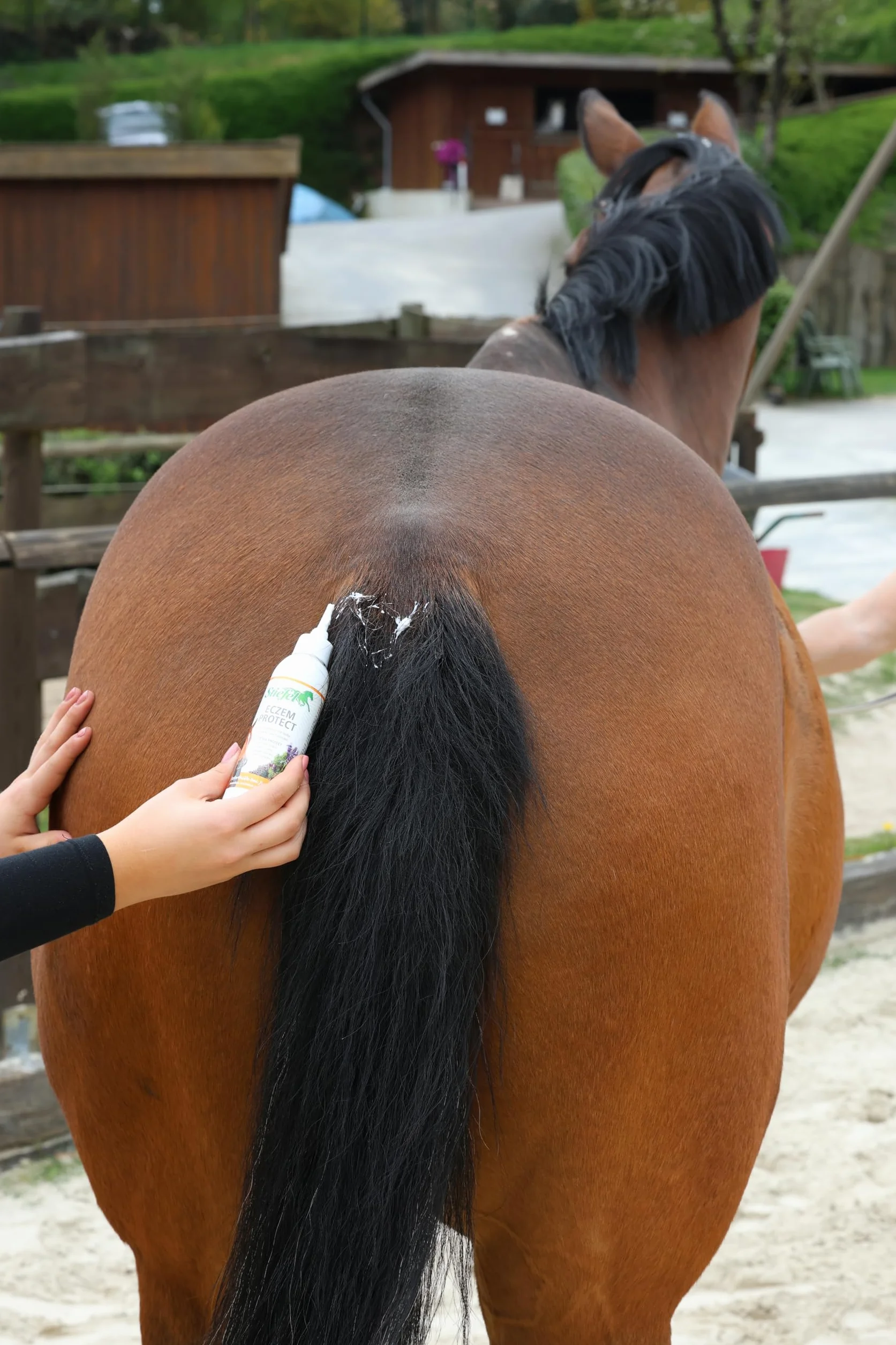 Stiefel Eczemprotect Lotion de Soin pour Chevaux 125 ML - Irritations Démangeaisons Peaux Sèches et Sensibles Eczéma d'Été