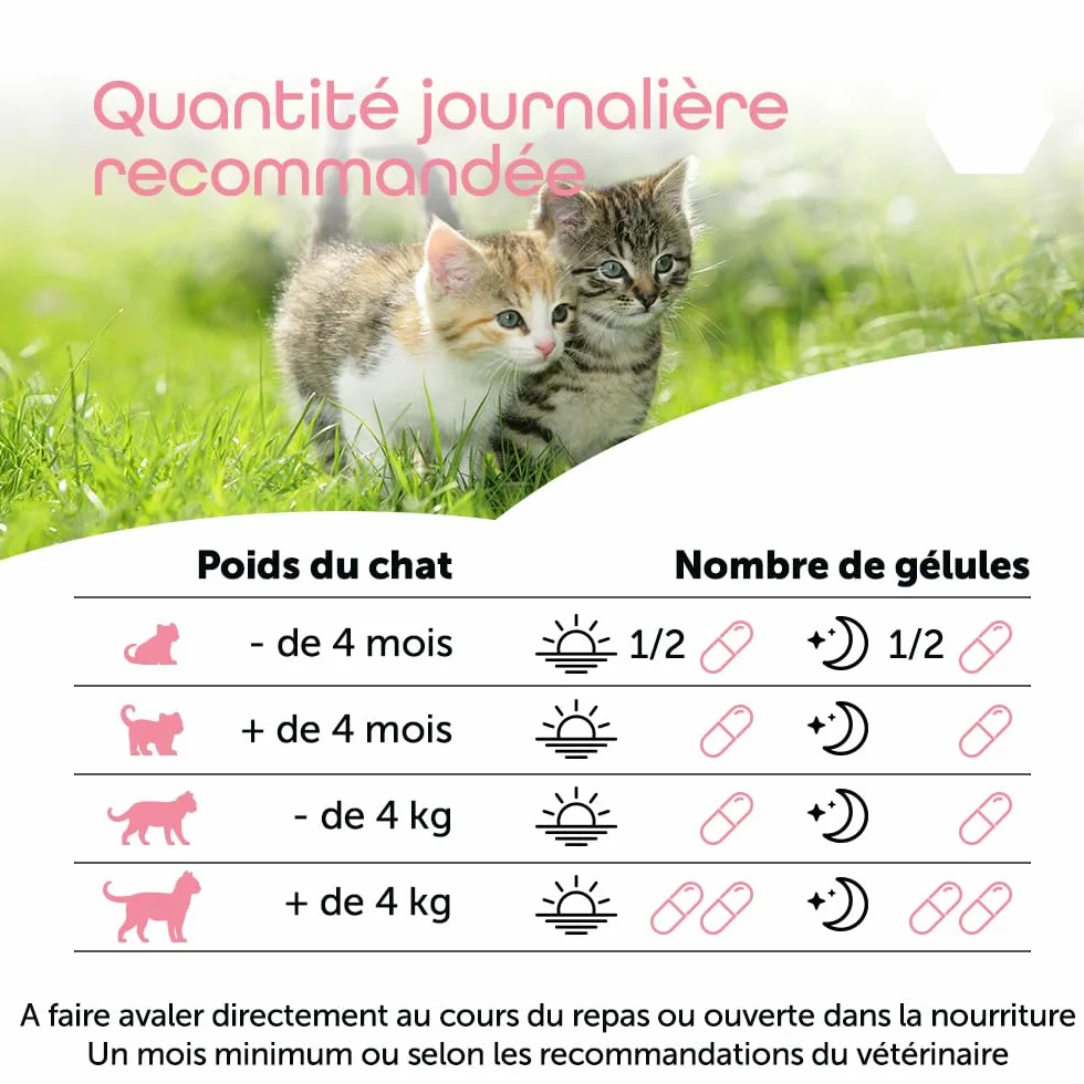 MP Labo Lysine MP 100 Gélules pour Chats et Chatons - Riche en L-Lysine