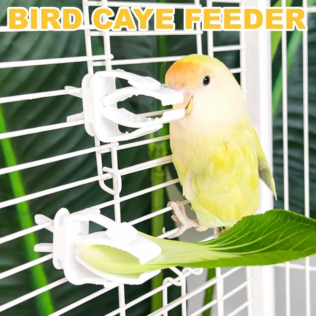 Mangeoires pour oiseaux Lot de 6 pinces à nourriture en plastique pour cages à oiseaux, accessoires pour perroquets perruches
