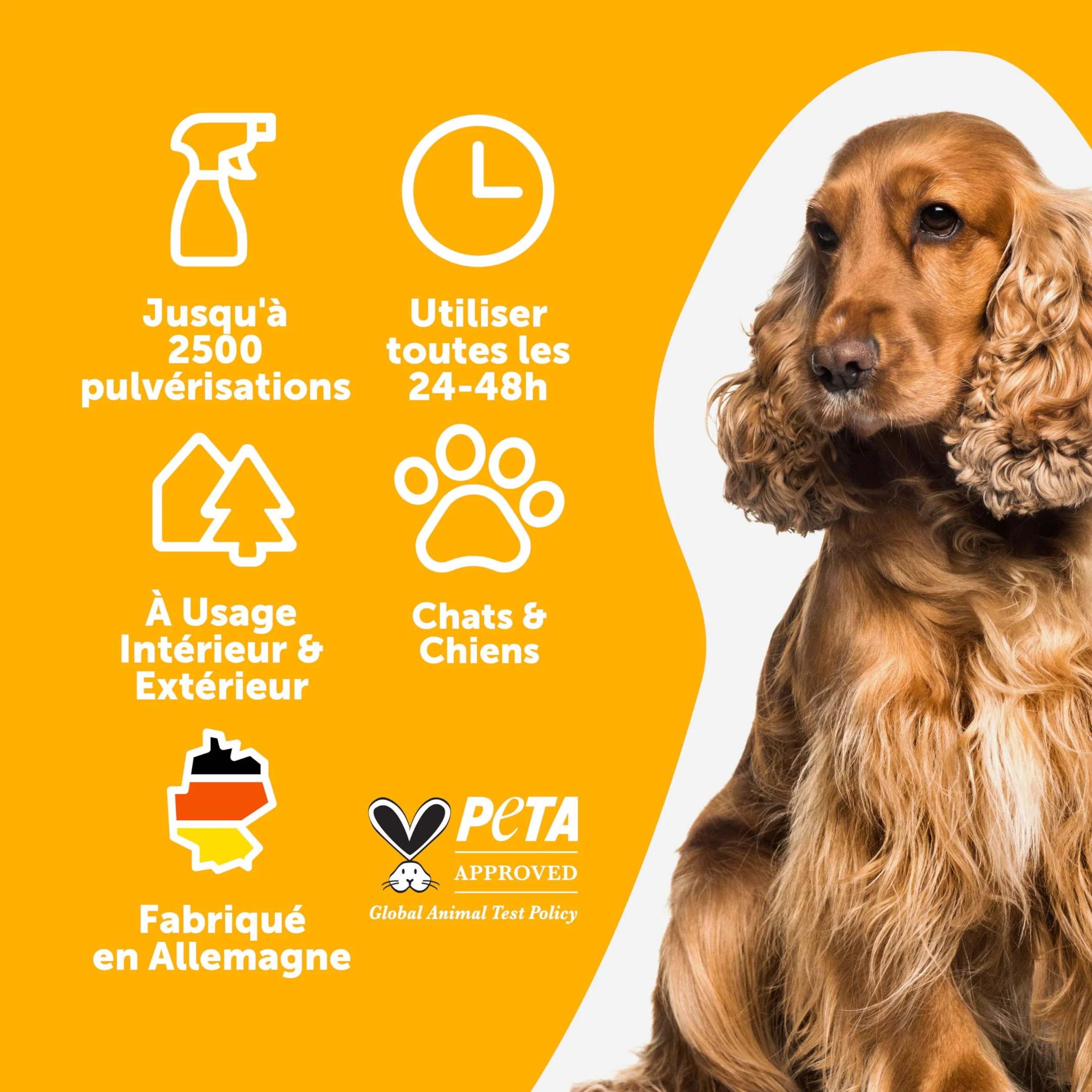 Petsly Anti Marquage Urinaire Chat Chien 500ml Non Tachant Triple Action Répulsif Intérieur Extérieur