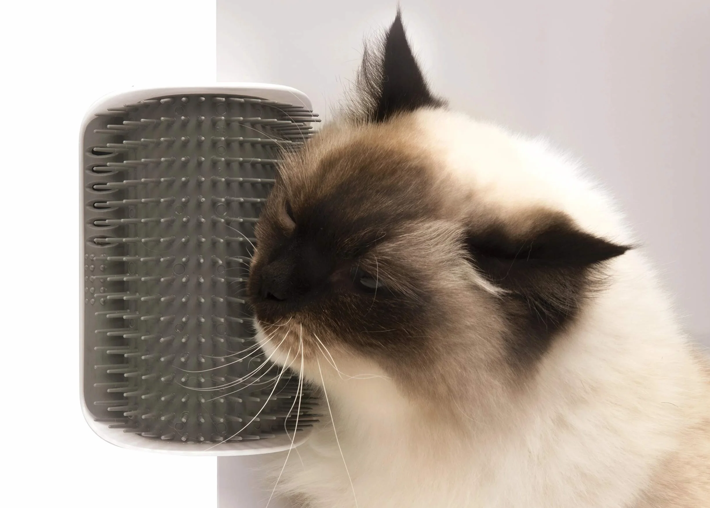 Catit Senses Brosse Auto Toiletteur pour Chat