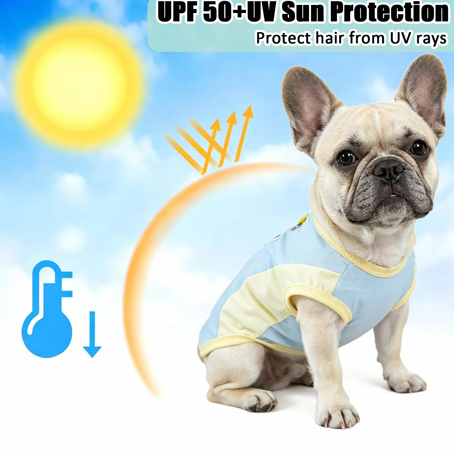 Lot de 2 gilets rafraîchissants pour chien en soie glacée respirante avec anneau en D, manteaux d'été frais pour chiens petite à moyenne taille (vert/bleu) (M)