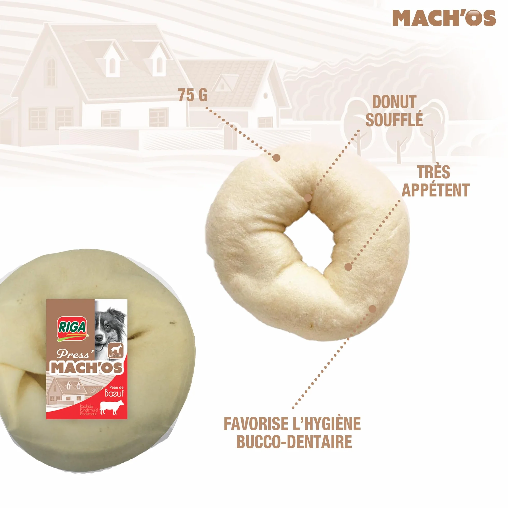 Riga - Mach'os - Donut Soufflé Blanc - Friandise pour Chien - Peau De Buffle - Riche en Protéines - Hygiène Buccale - Mastication Et Récompense - pour Moyen Chien - 75G