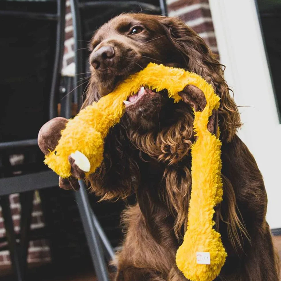 Nobby Jouet pour Chien Peluche Chameau Corde Interne 55,5 cm