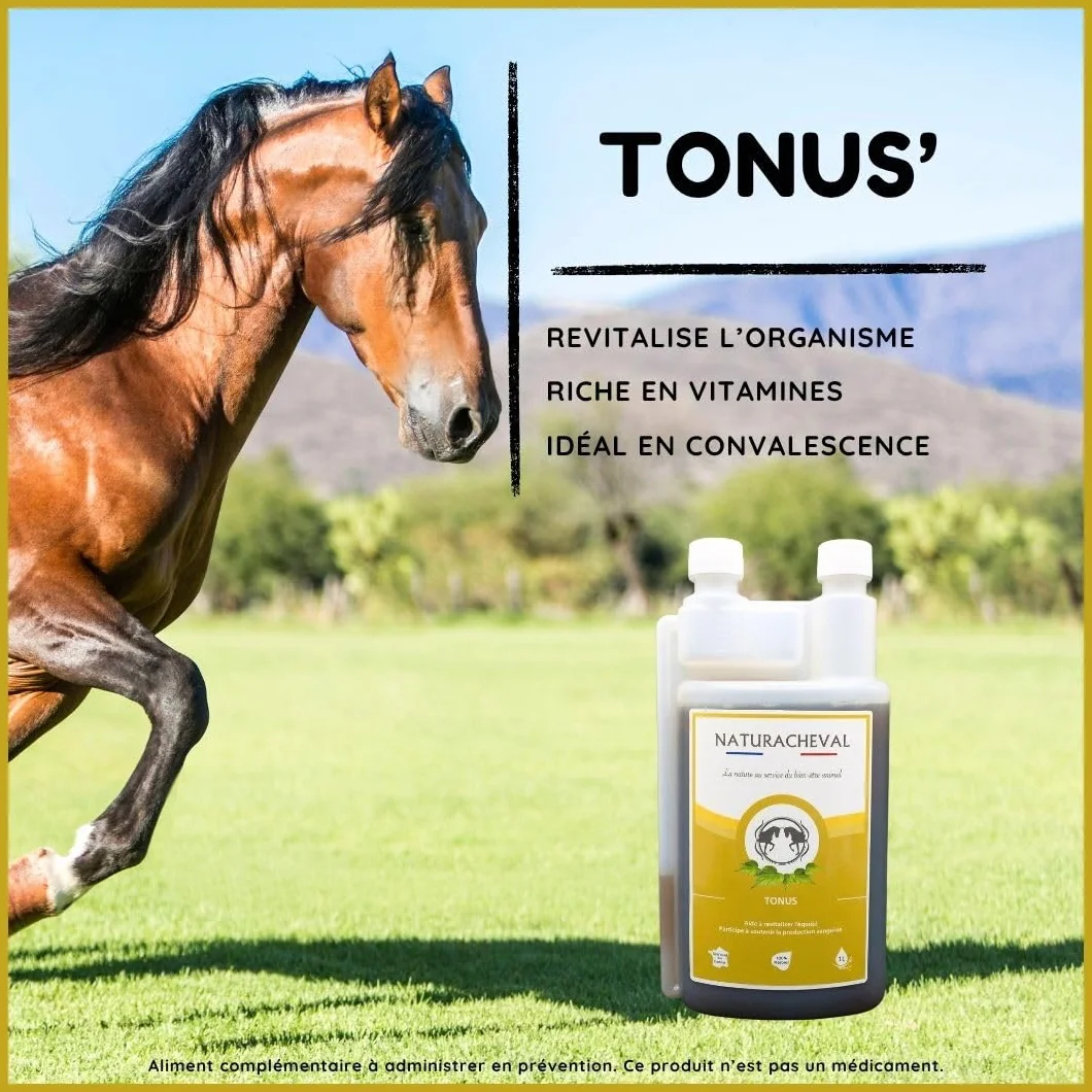 Vitalité Cheval & Tonus Complément Naturel Énergie Cheval Fatigue Convalescence Apport Vitamines Minéraux Formule Plantes