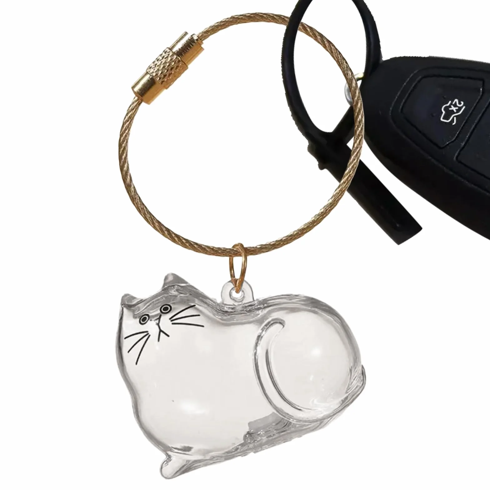 Porte-clés C-apsule Commémorative en Poils de Chat, Boîte Mémoriale pour Poils d'Animaux, Contenant Transparent Portatif