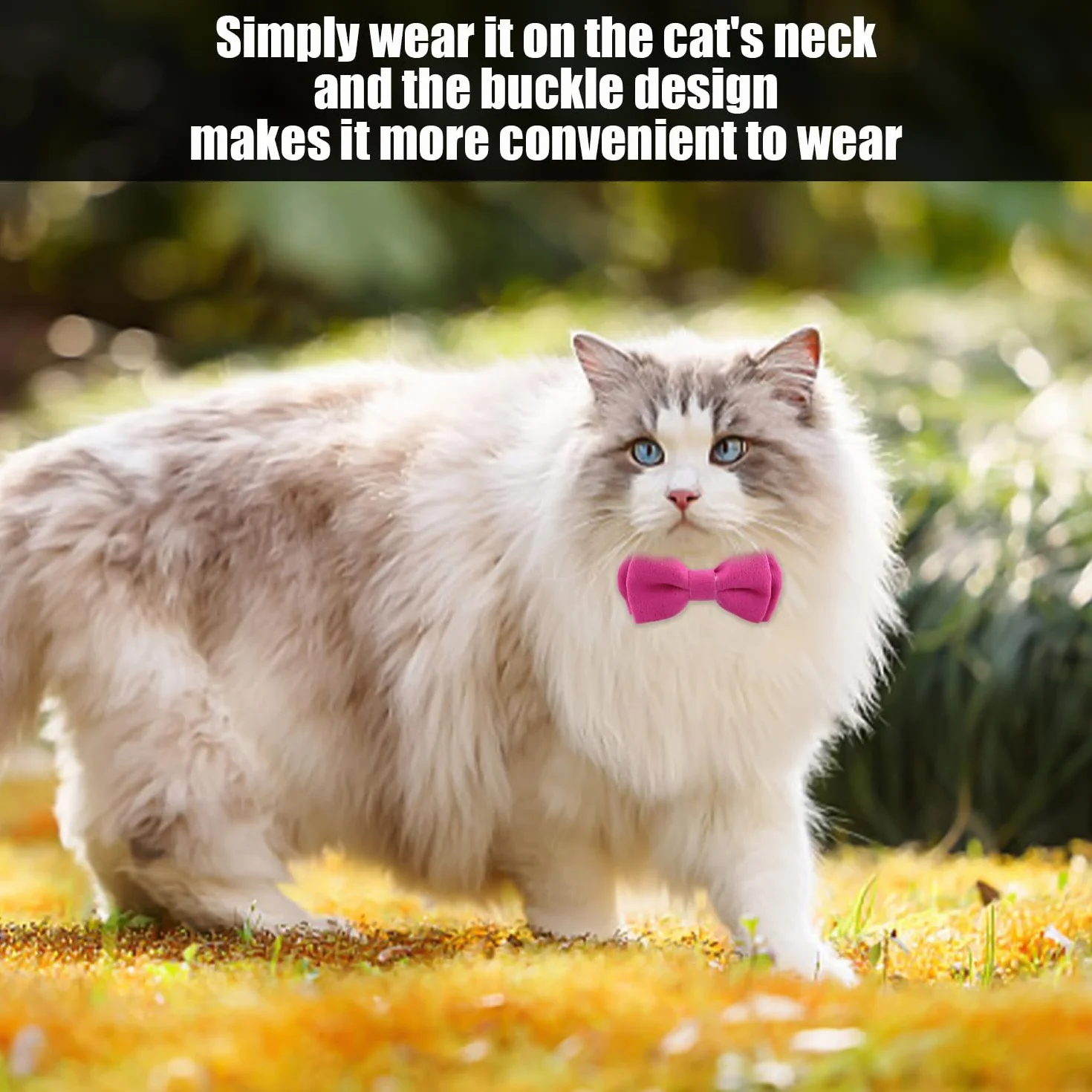 Collier À Nœud Réglable pour Chat Mignon avec Cloche, 3 Pièces